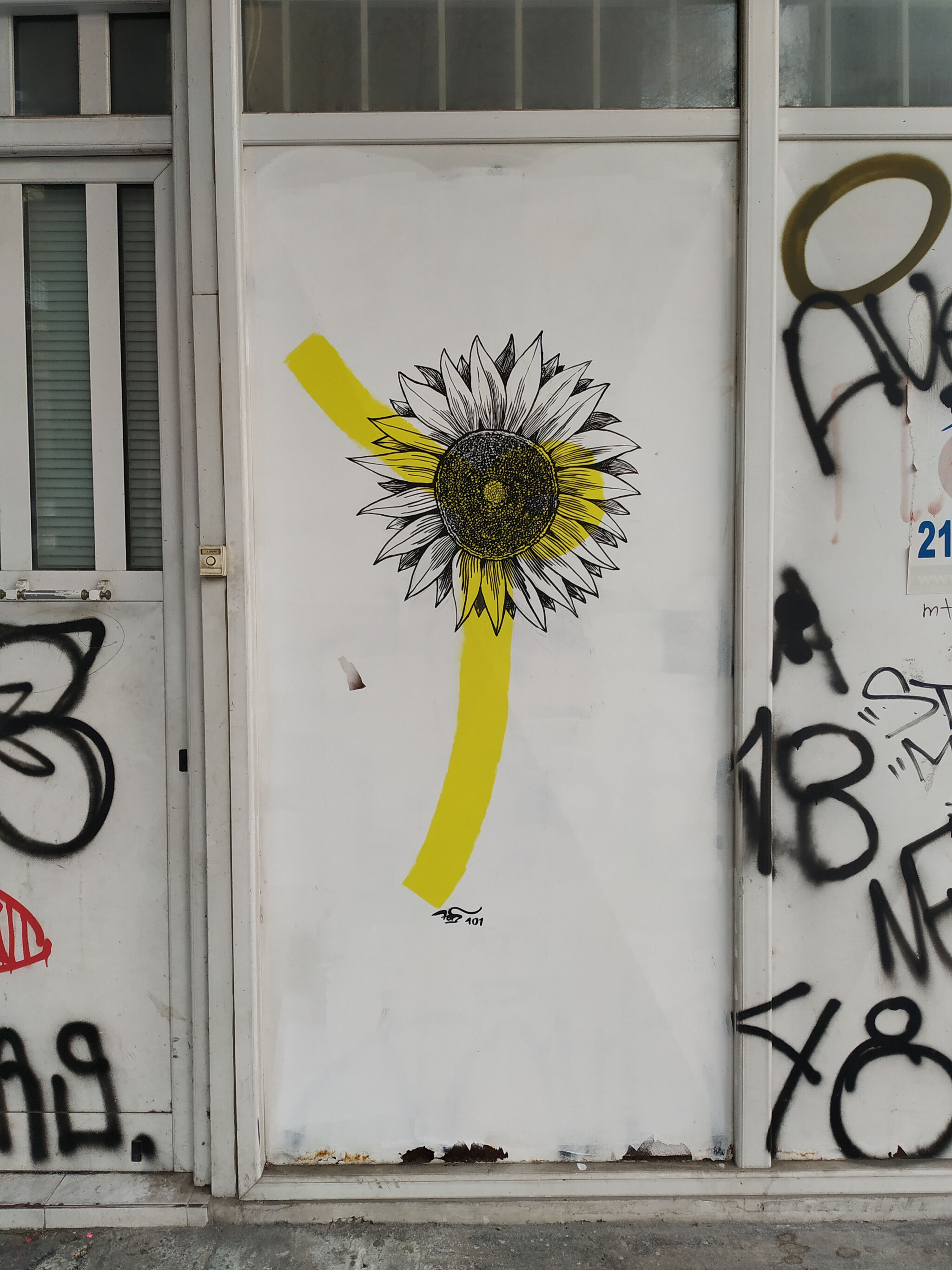 Alex Kataras, Fors&mdash;Sunflower