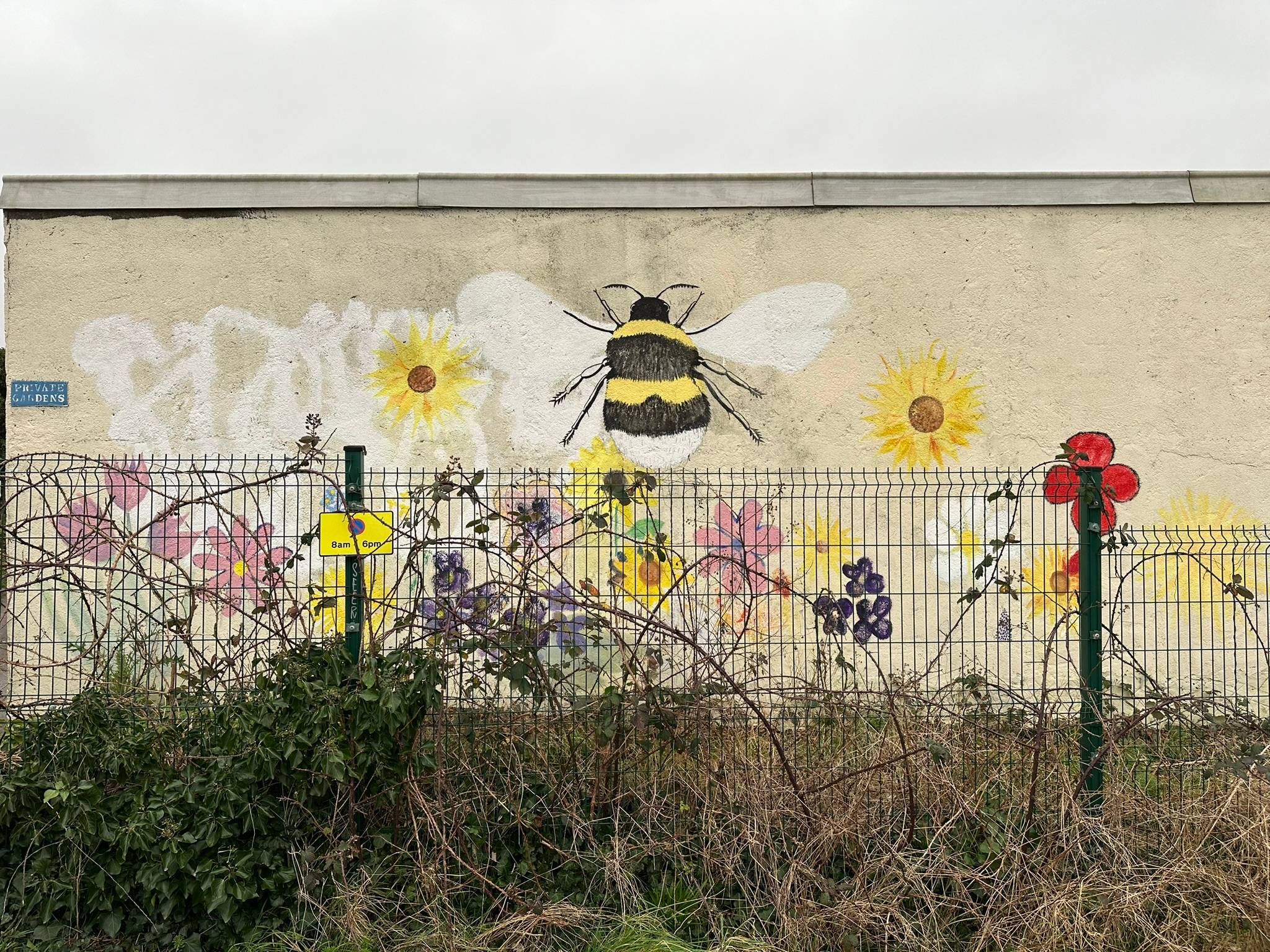 Unknown - Plymouth&mdash;Wild Meadow Bee