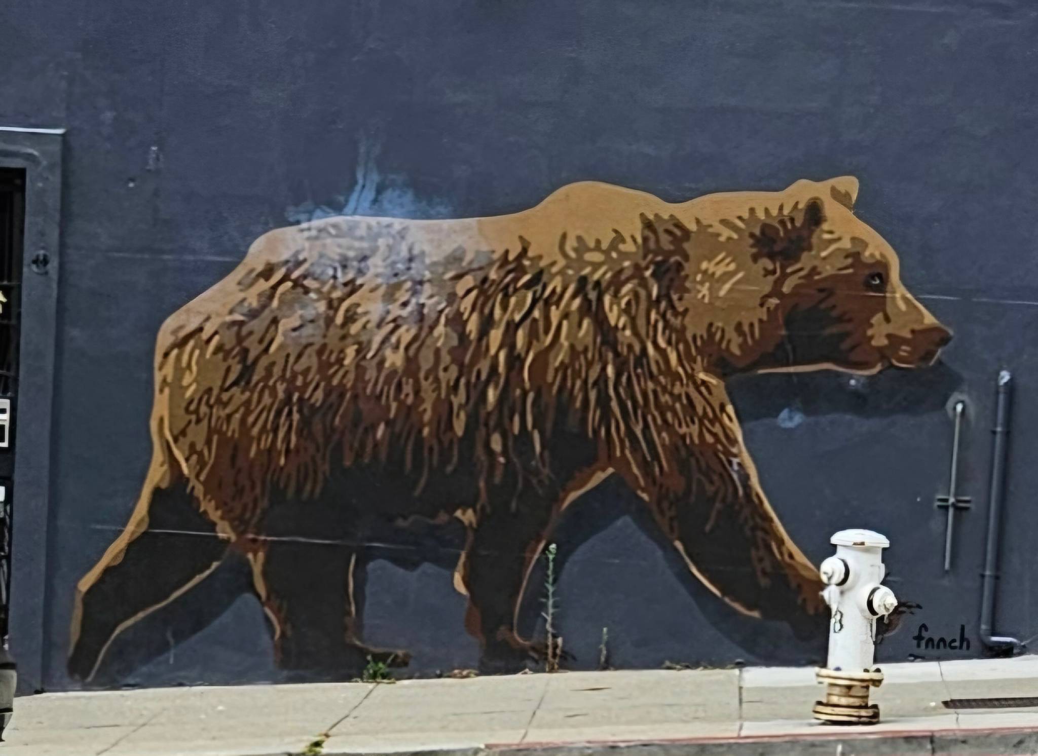 Fnnch&mdash;California Bear