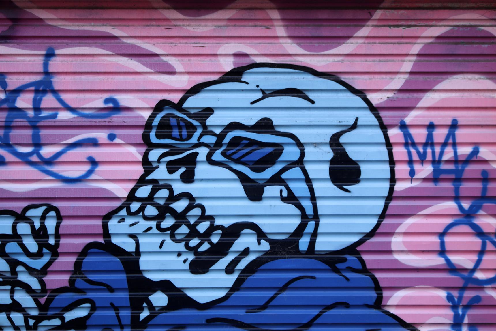 Doctor Dollar Discounts—Get Rich or Try Dying
