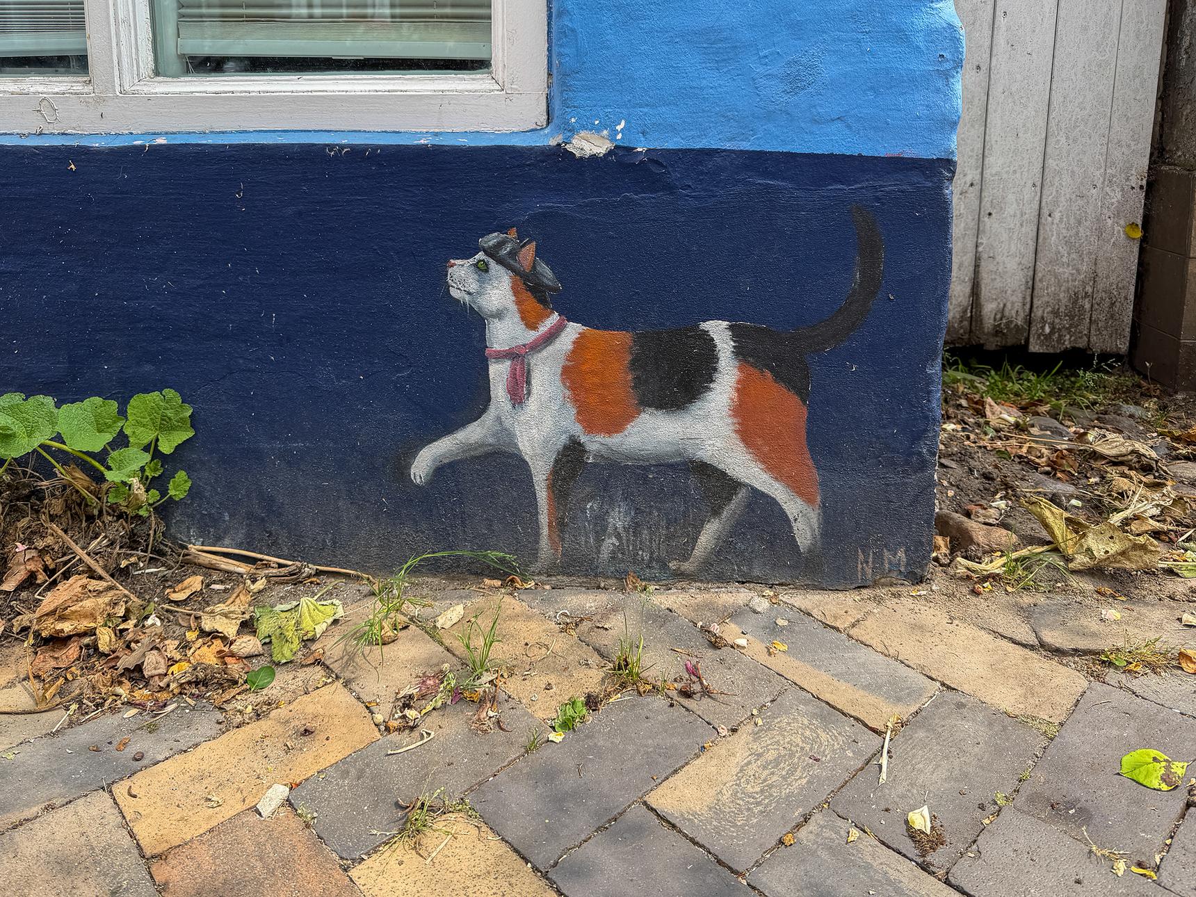 N.M.—Bunte Katze