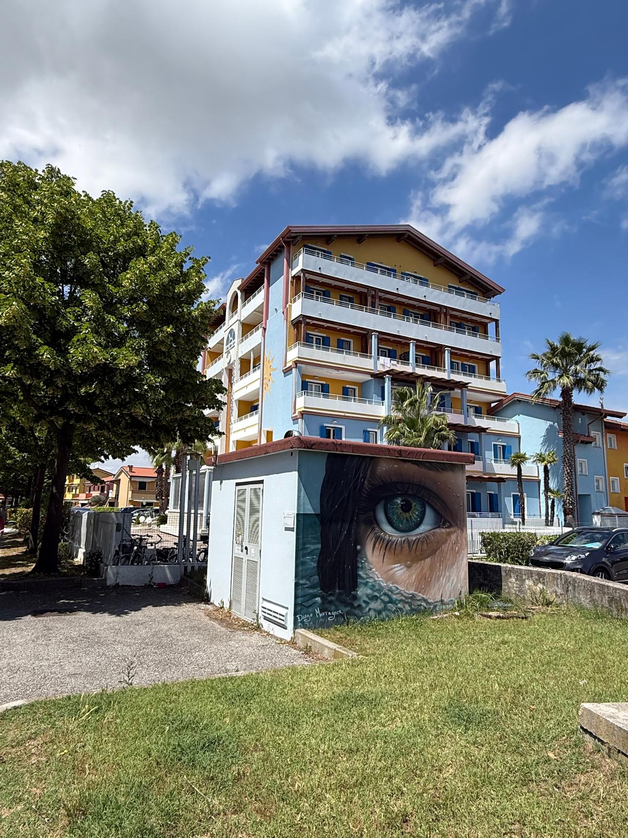 Diego Montagner—Determinazione