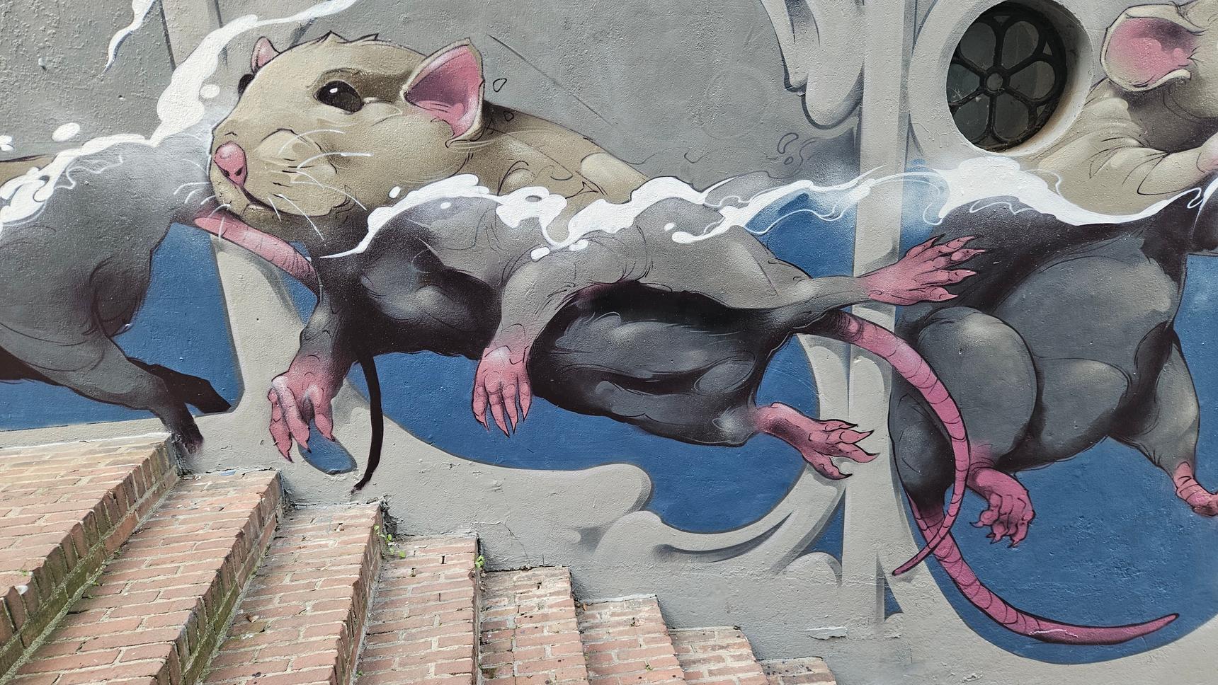 Simian Switch—Unknown-Dordrecht