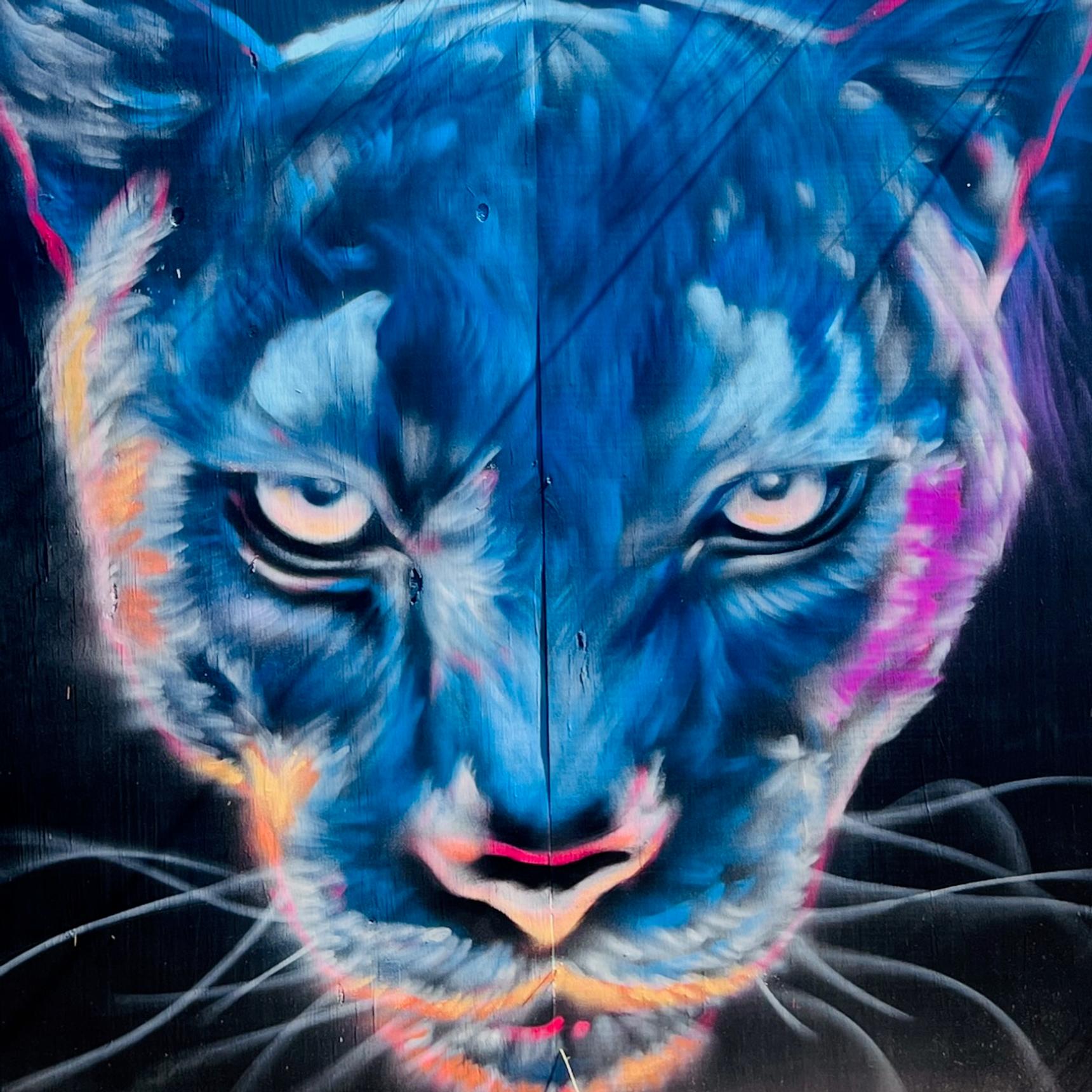 Unknown - Austin—undefined