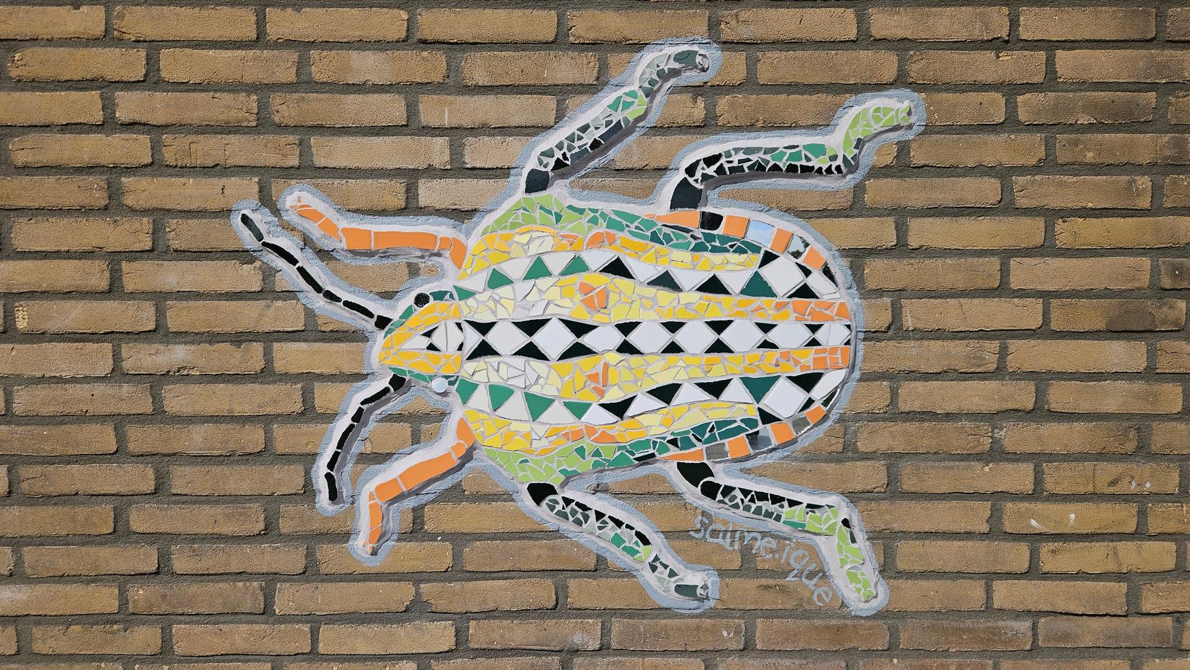 Salme Ique—Insects from the Lombagarden