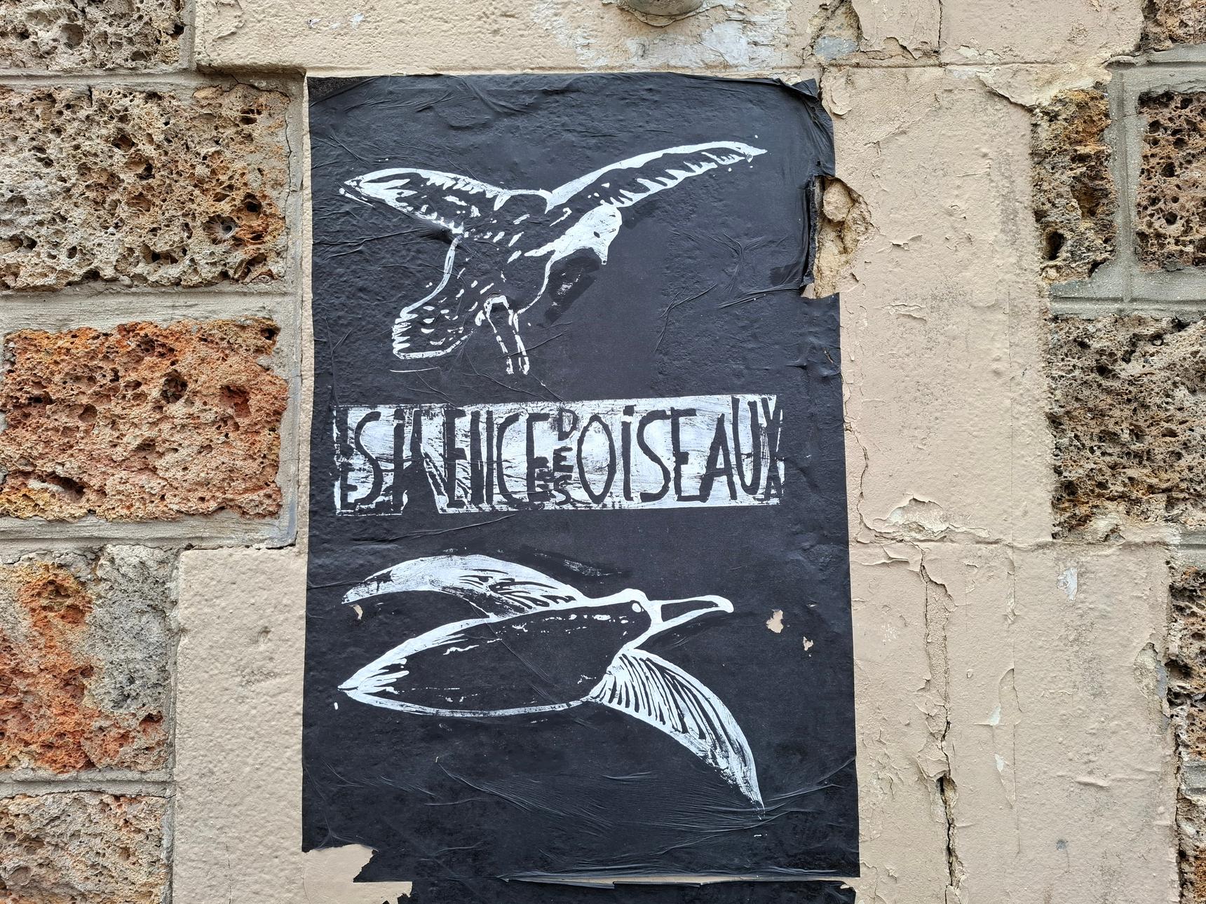 Patrick Pinon—Le Silence Des Oiseaux
