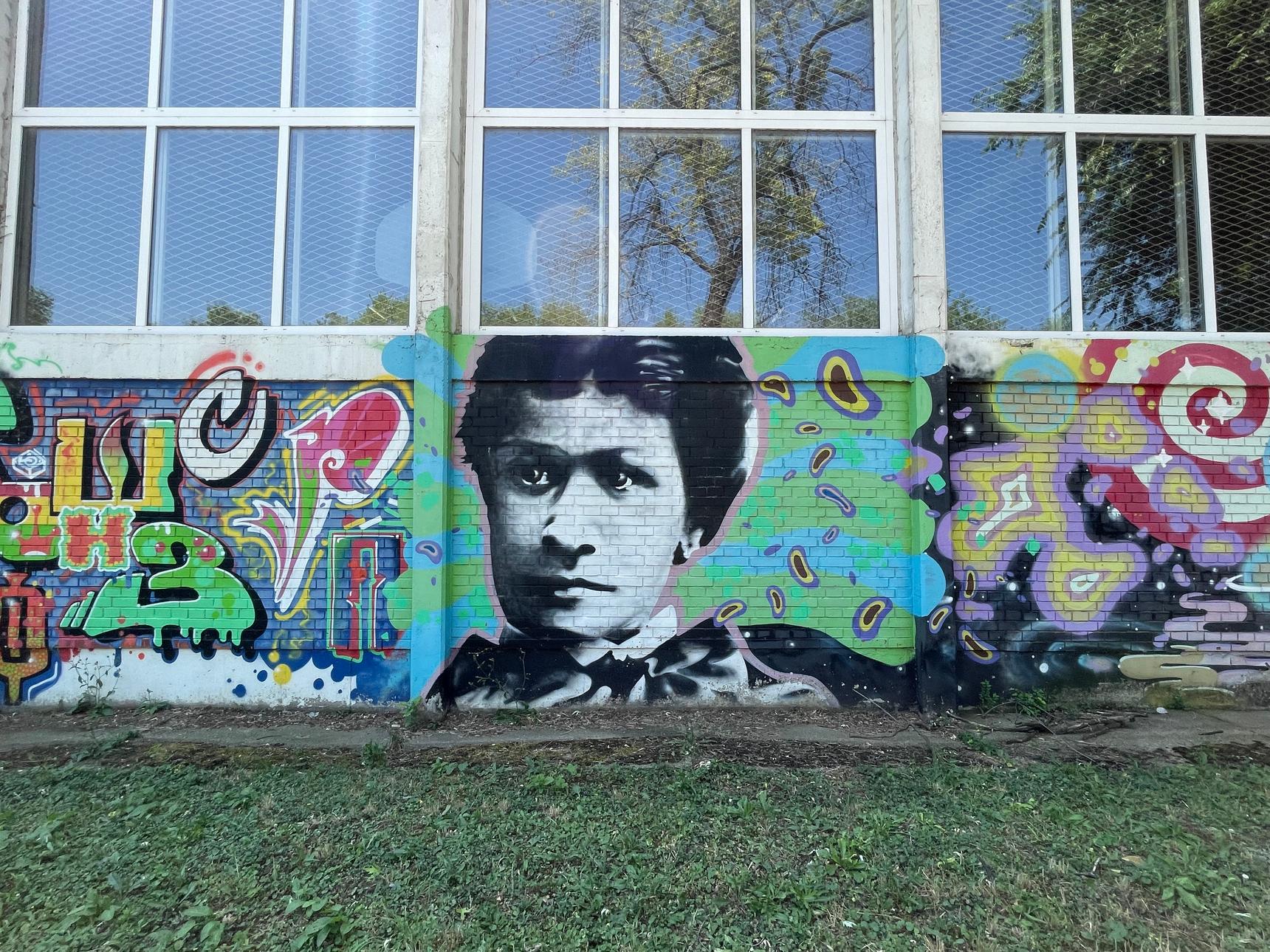 Unknown - Zrenjanin—Mileva Maric