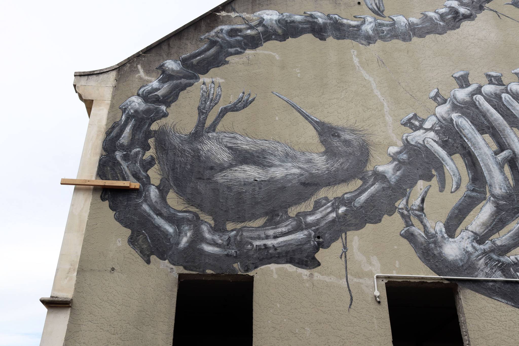 ROA&mdash;Moa