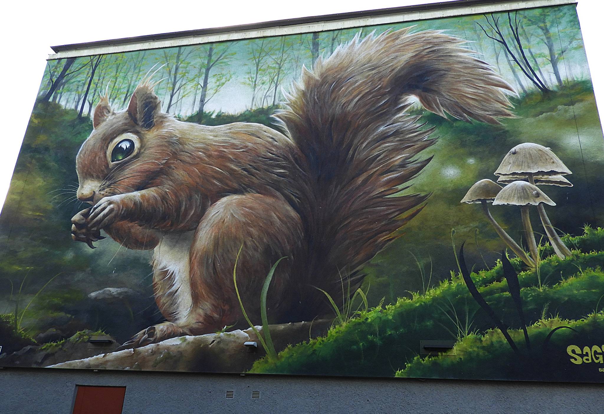 Sagie&mdash;Squirrel