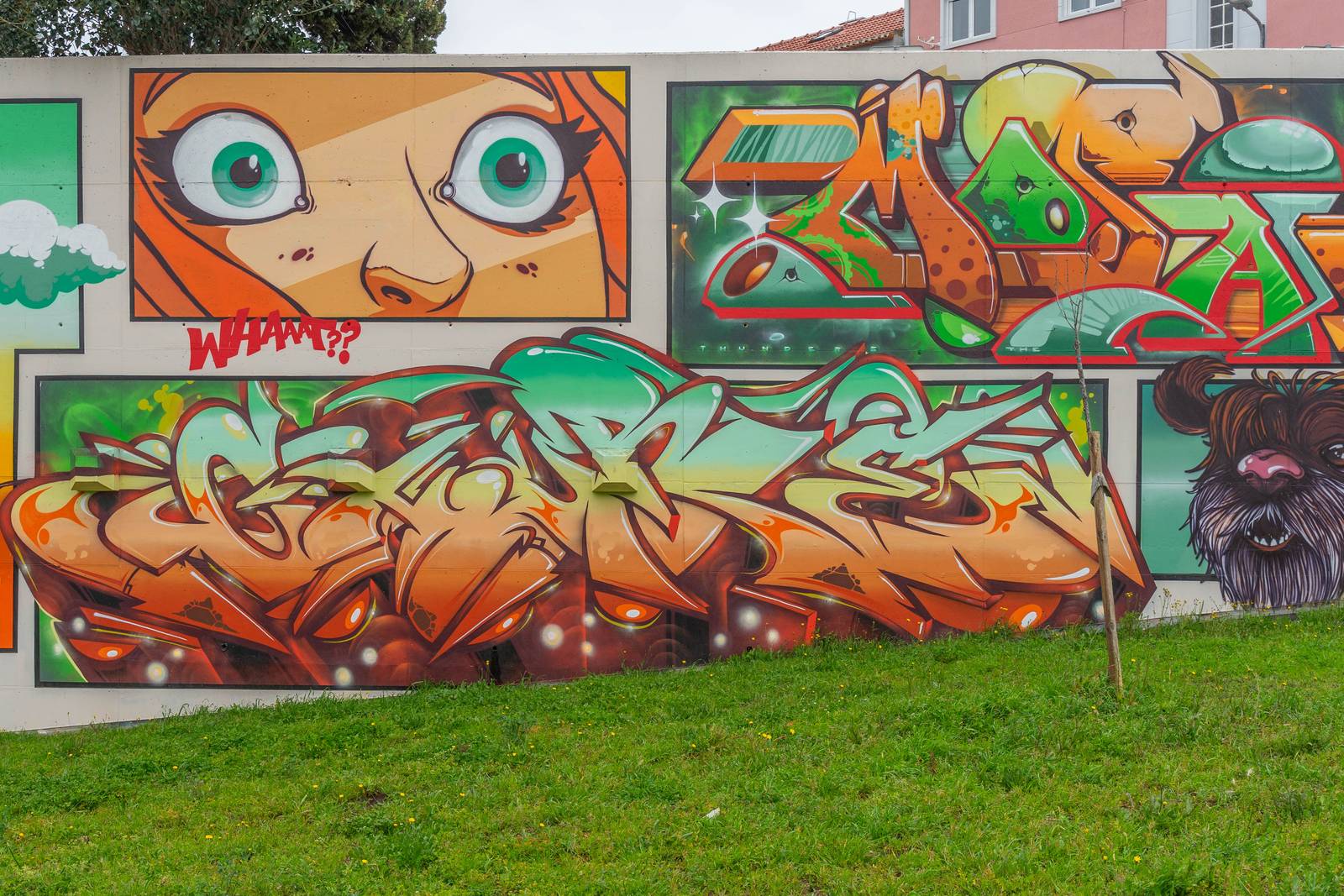 Thunders Crew—undefined