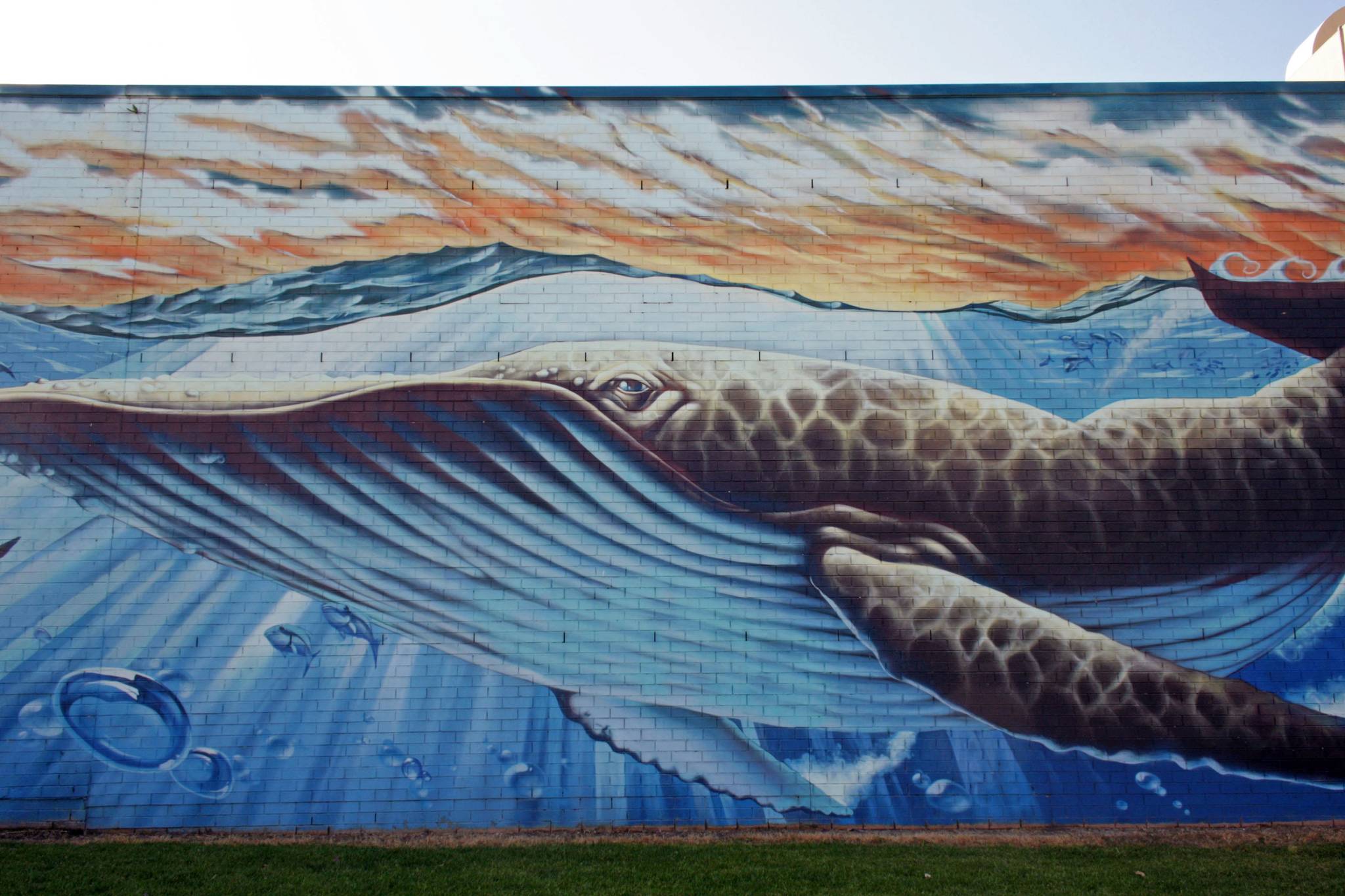 bafcat, Phibs, Peque&mdash;Corrimal Artwall Mural