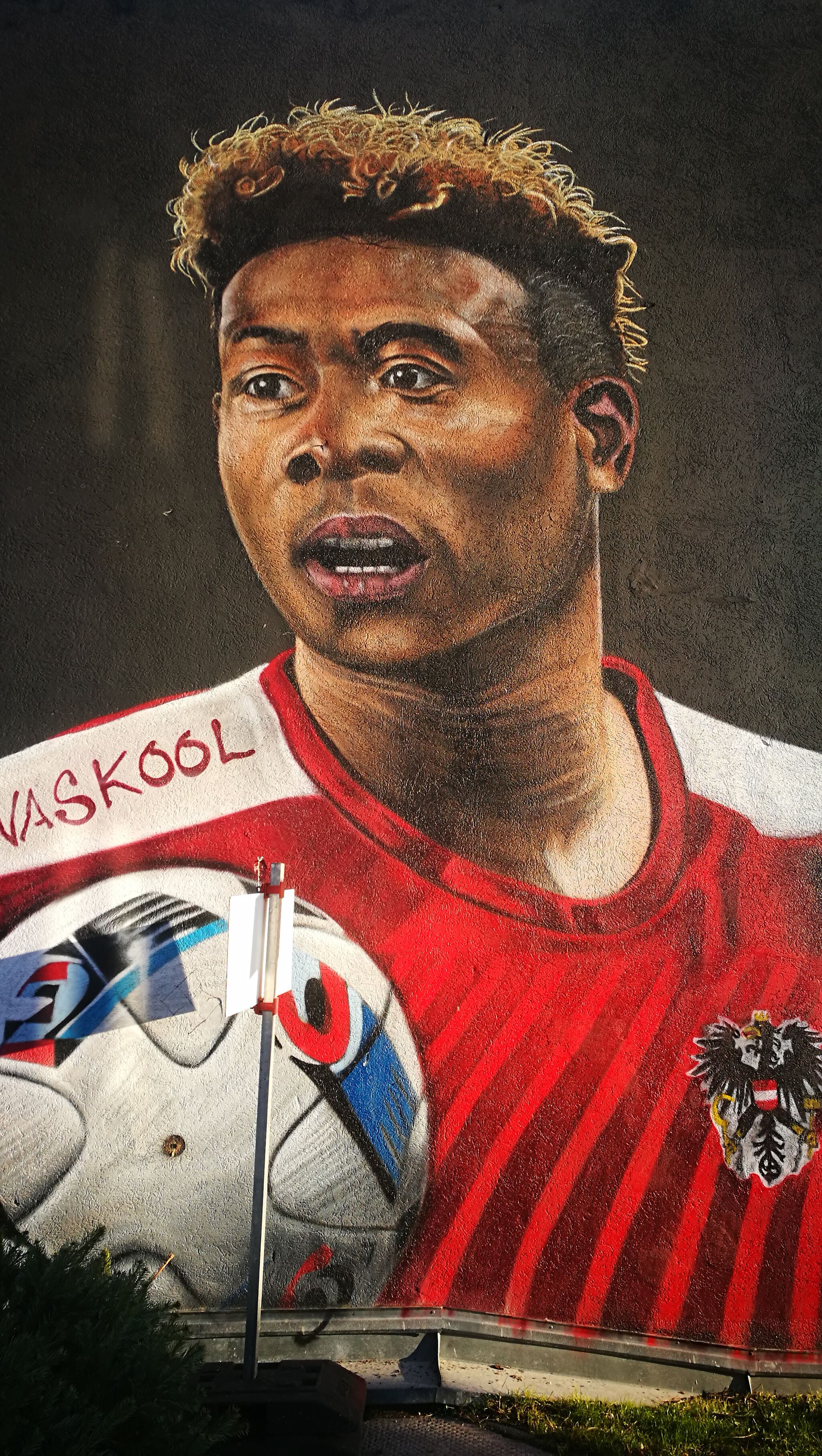 Naskool&mdash;Portrait of David Alaba