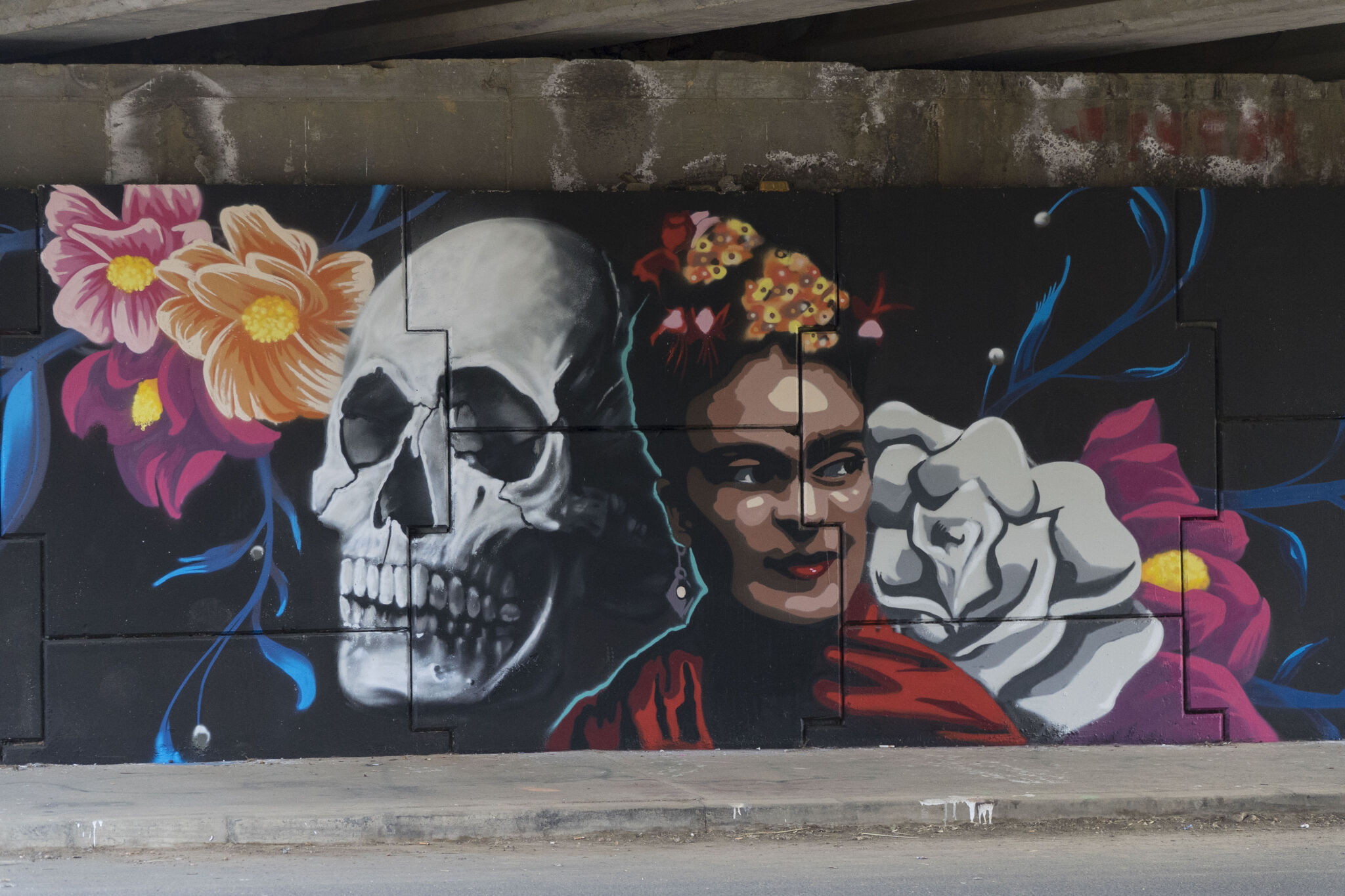 Dicka, Hacko&mdash;Frida