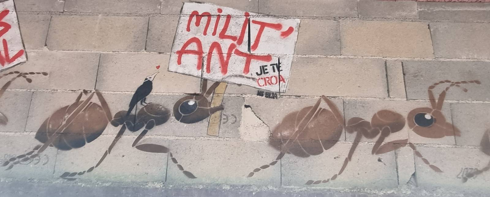 MS Béja—Milt'ant