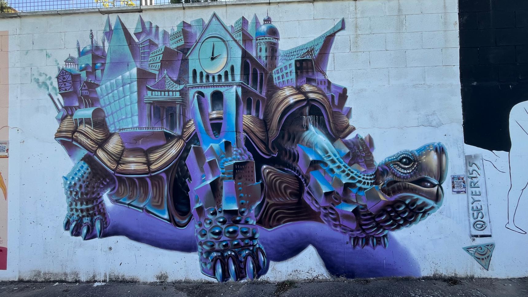 Seyer 155—The Timekeeper Turtle