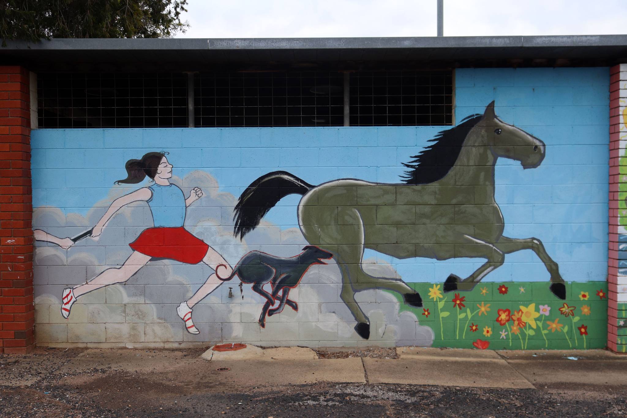 Unknown - Mudgee&mdash;Jubilee Oval