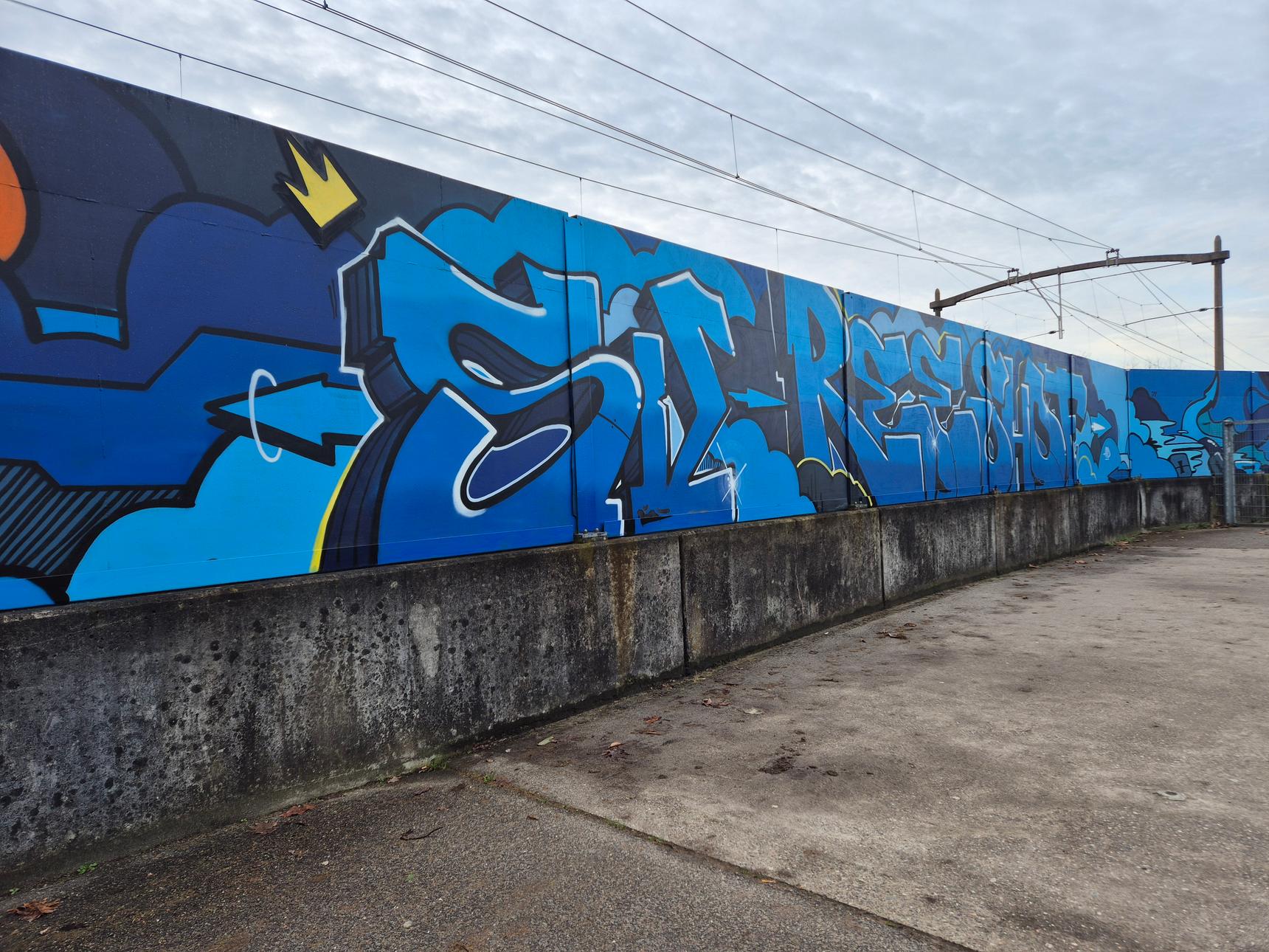 Avid Mouse—SV Reeshof