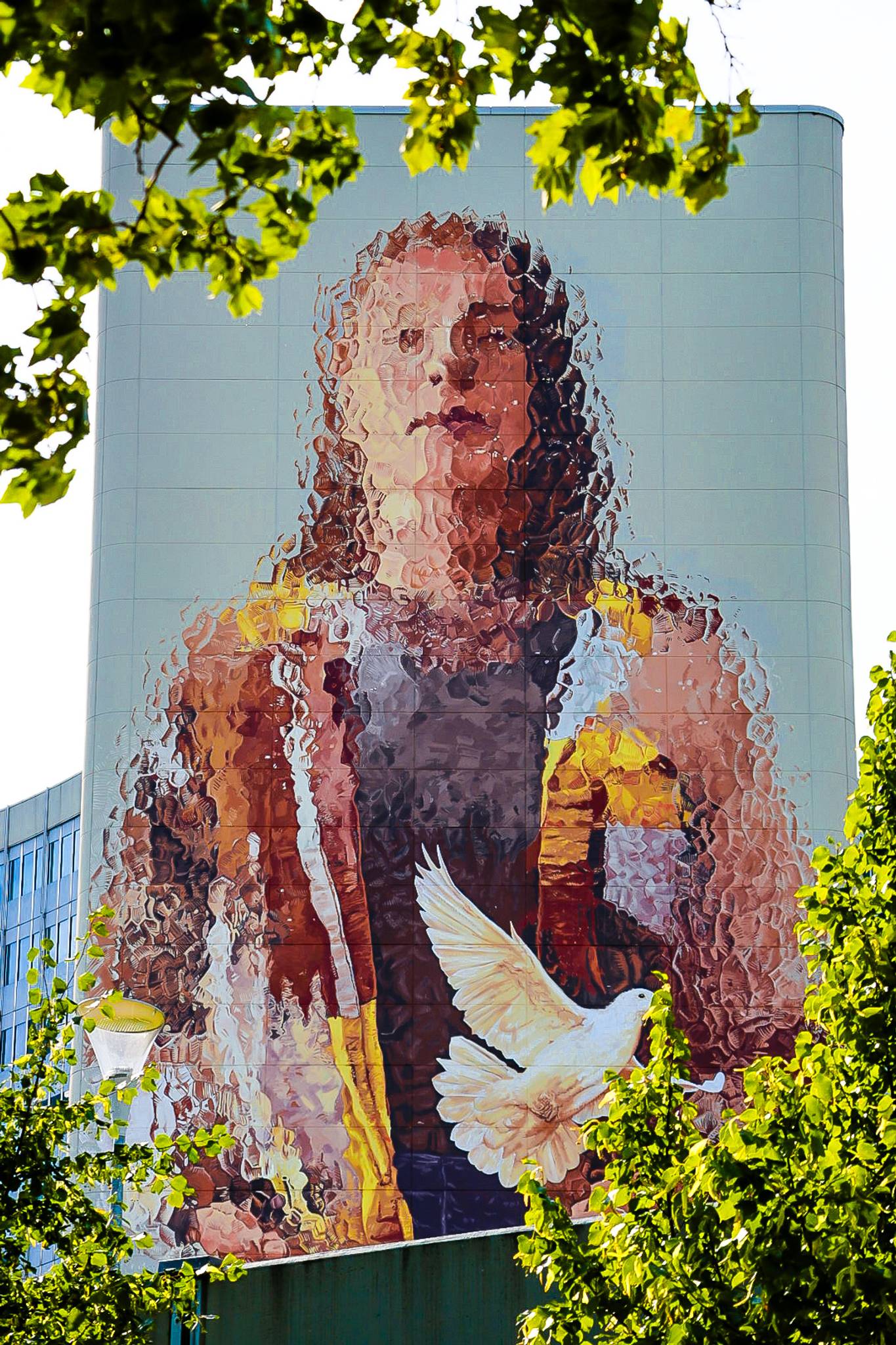 Fintan Magee&mdash;undefined