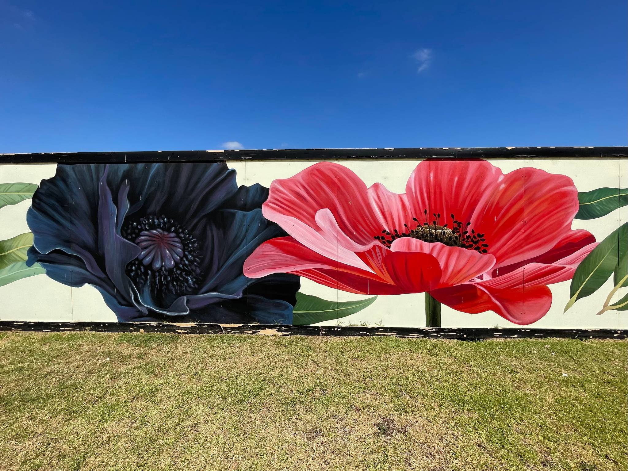 Amanda Newman&mdash;Woodlea Remembrance Day Mural 