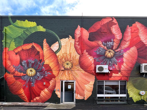 Poppy mural