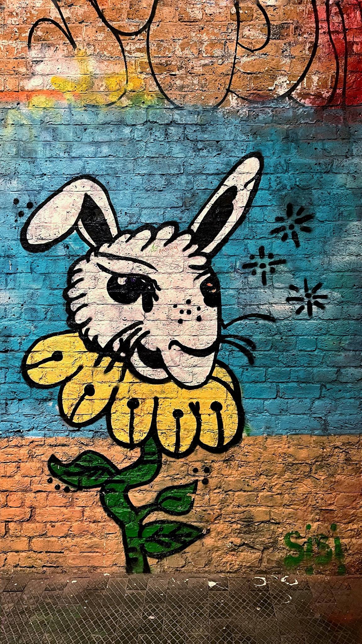 Sisi&mdash;Flower Rabbit