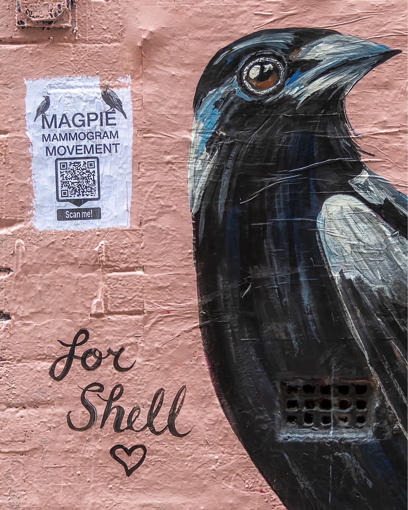 Mimby Jones Robinson—Magpie for Shell
