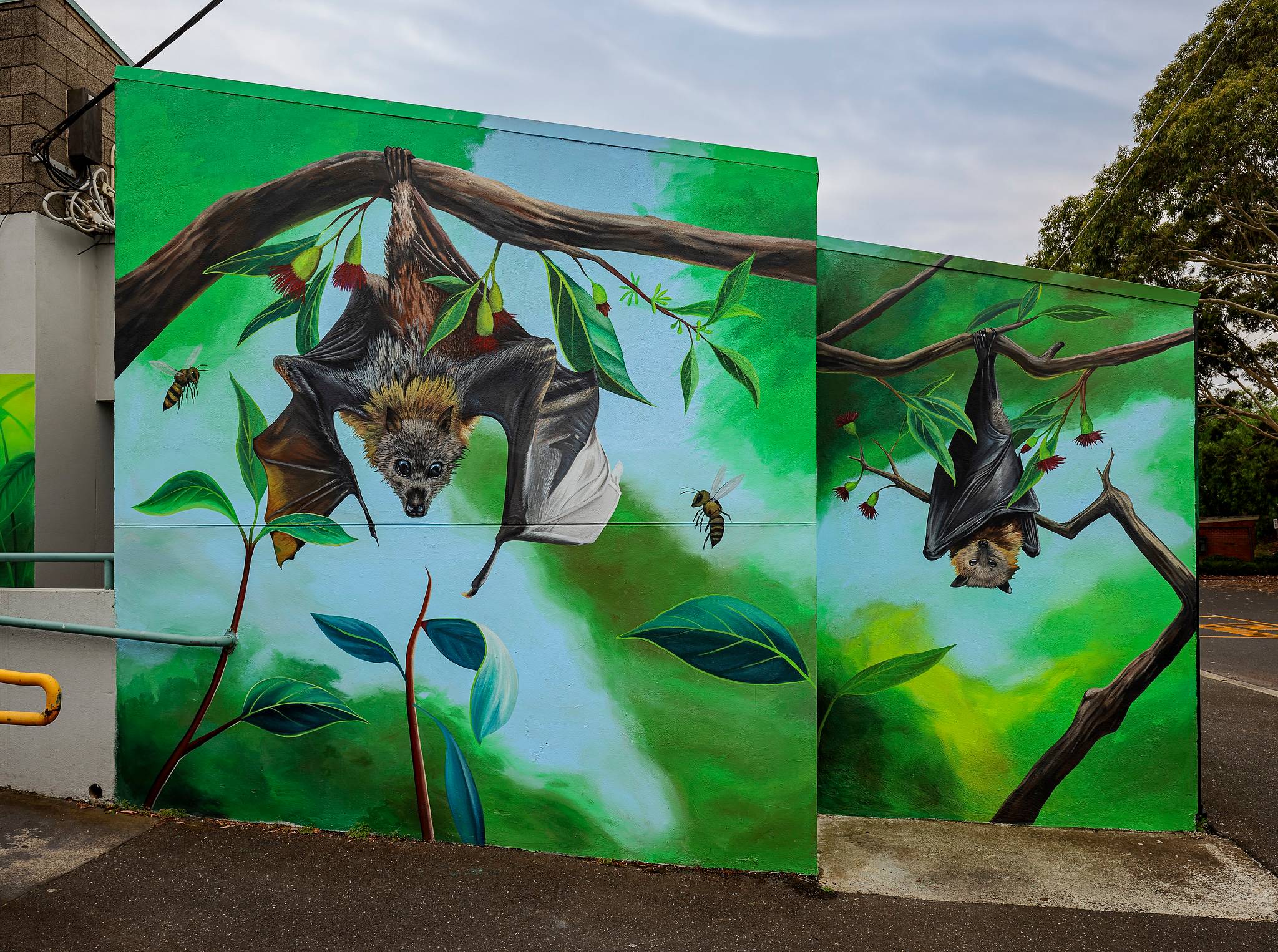 Sam Yong&mdash;Flying Foxes