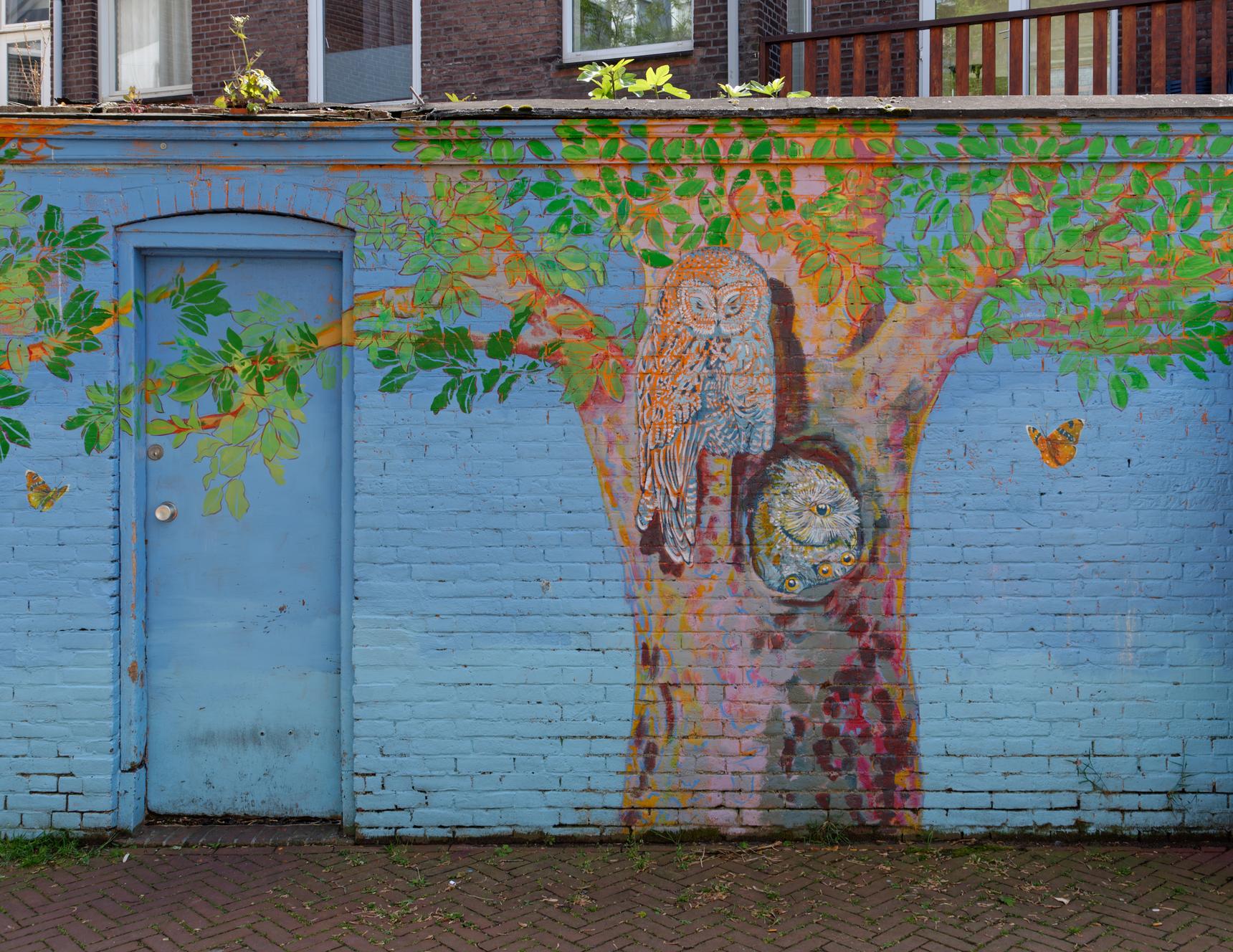 Margriet Snaterse—Owls