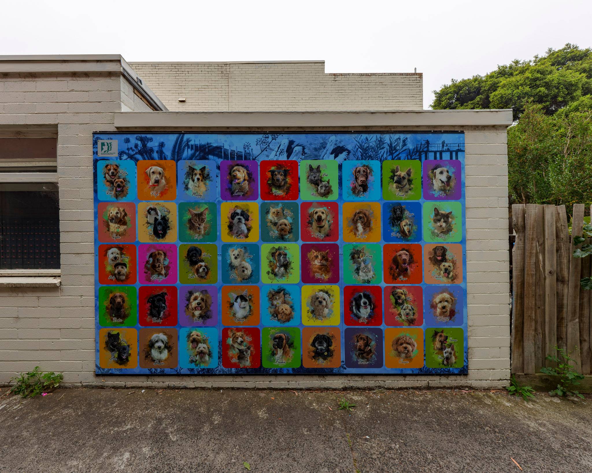 Warren Fox&mdash;Beaumaris Pet Wall