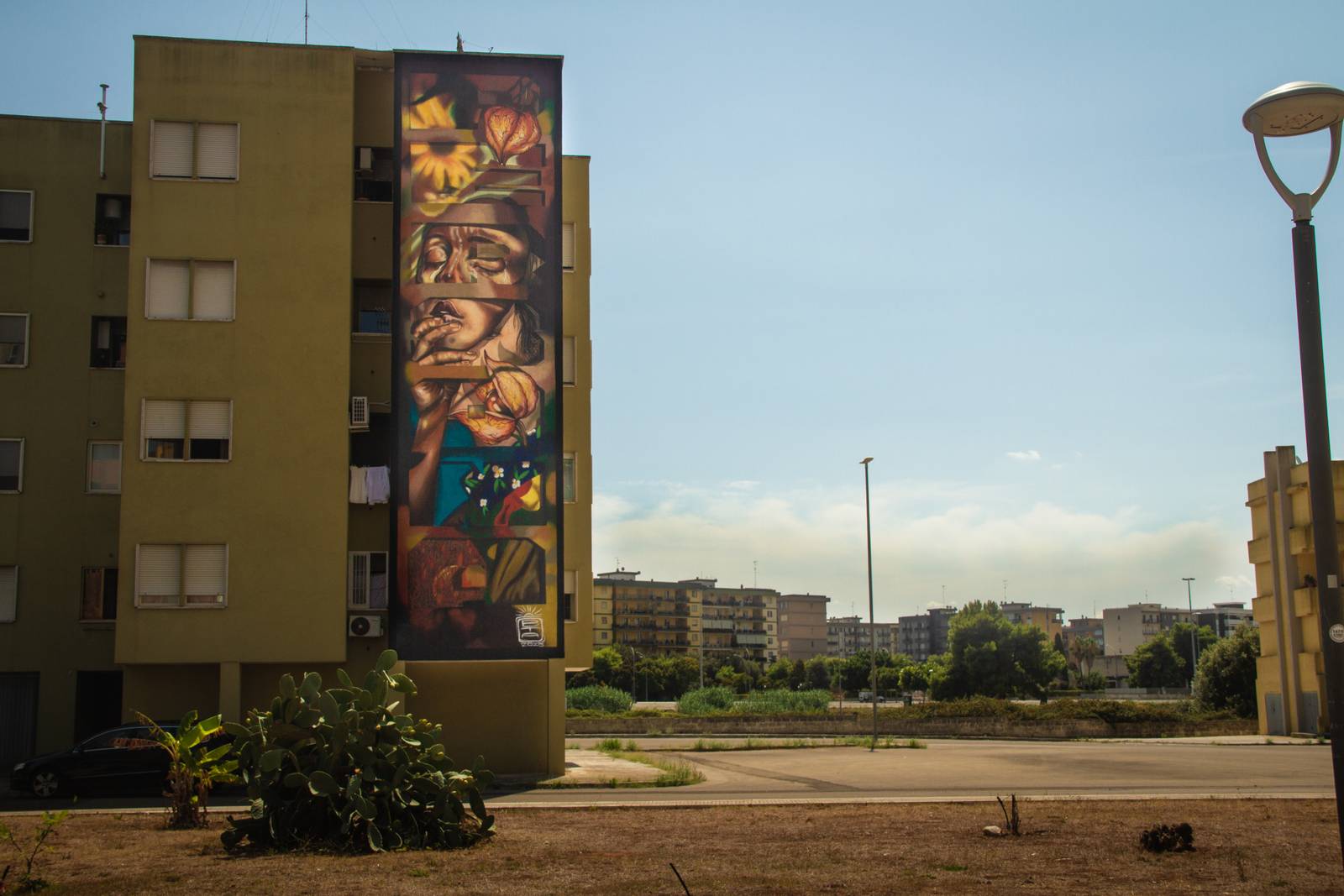 Potapov Dmitri , bringing the arts —PERSONA