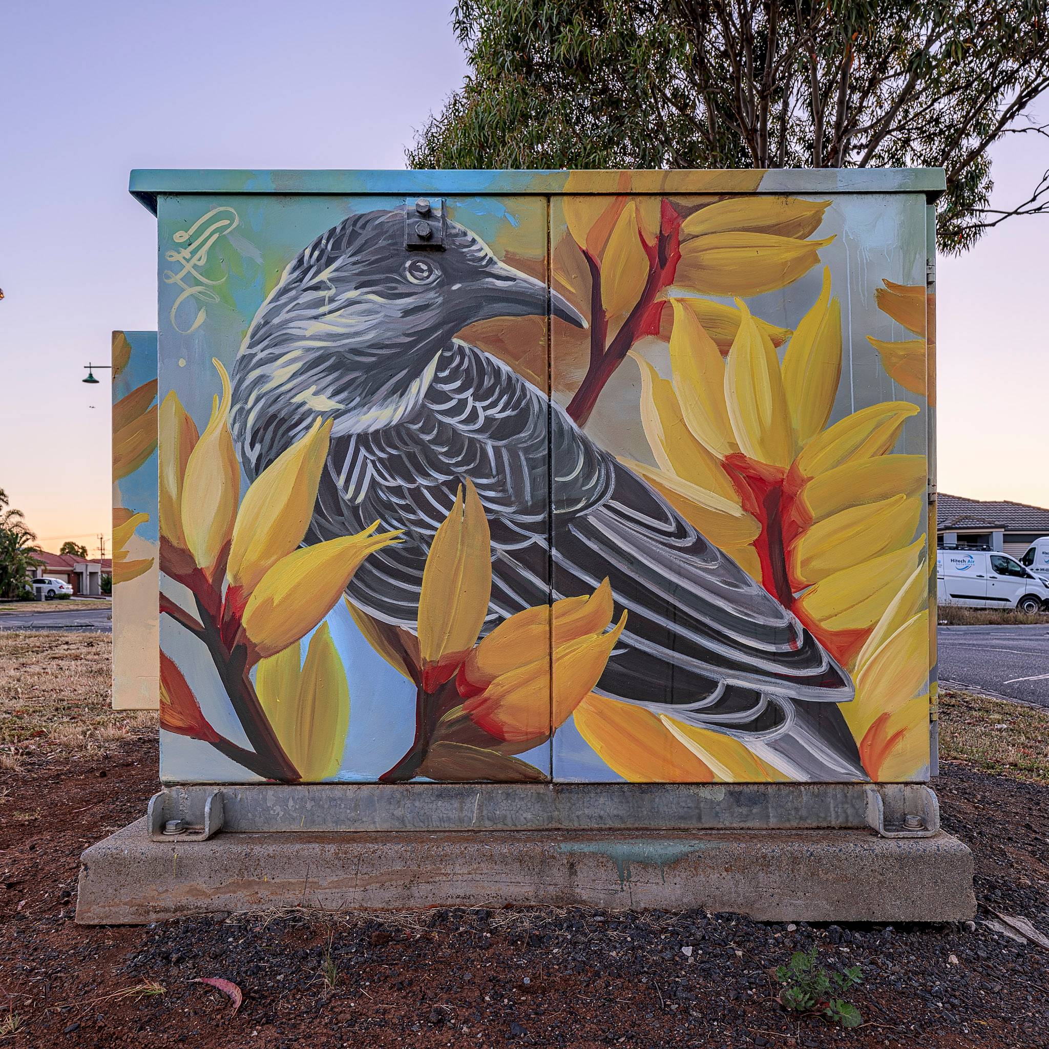 David Lee Pereira&mdash;Little Wattlebird