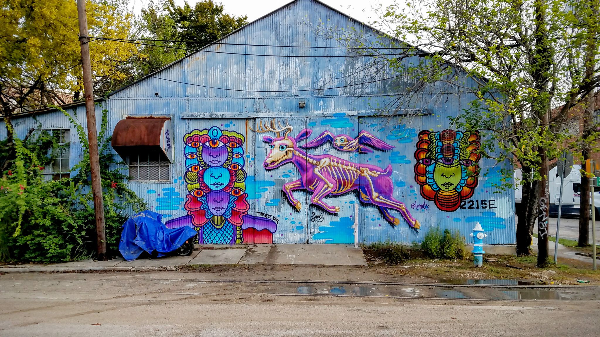 Lena TX, Eye Doctor&mdash;Bike Bar