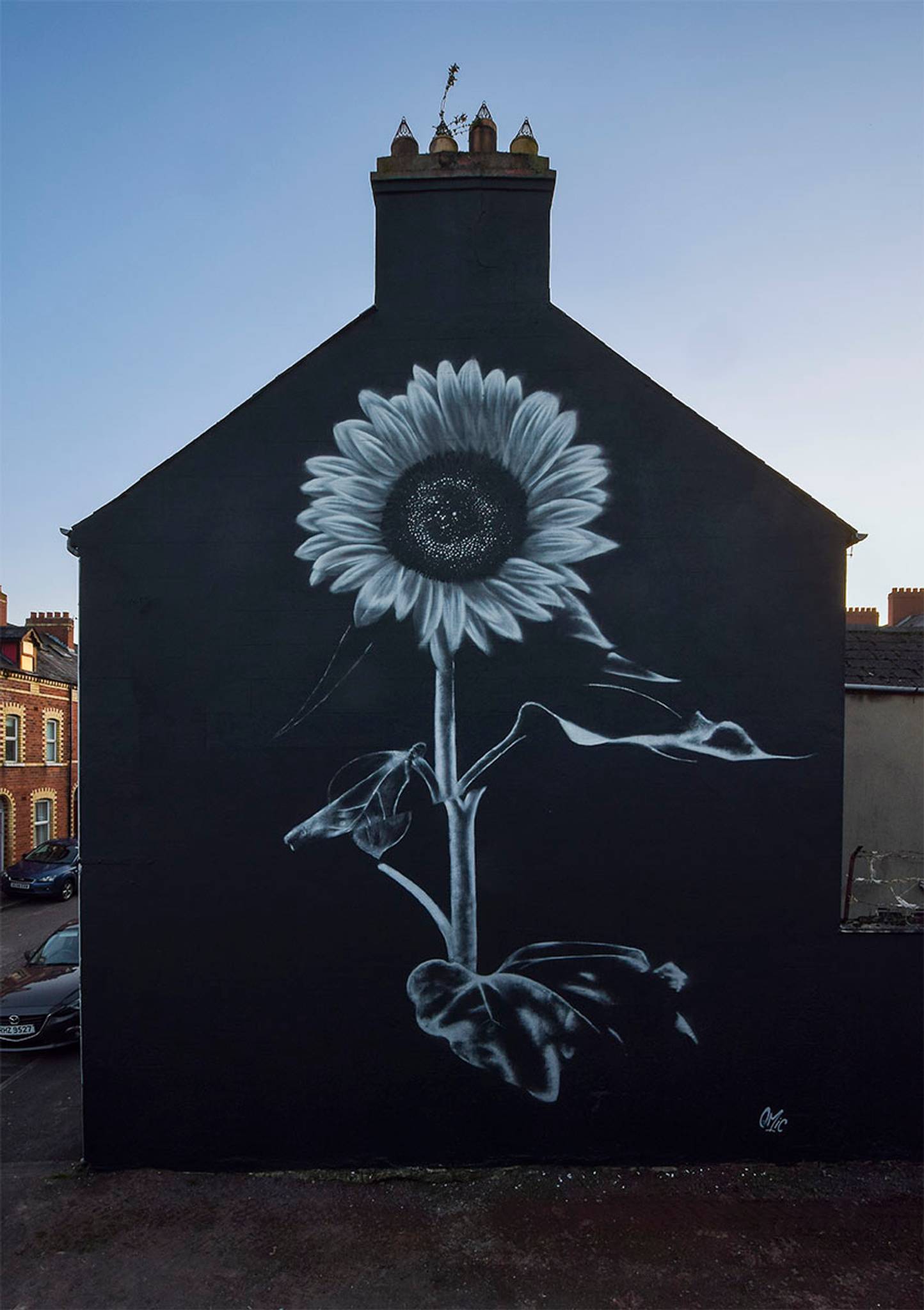 Emic&mdash;Sunflower for peace