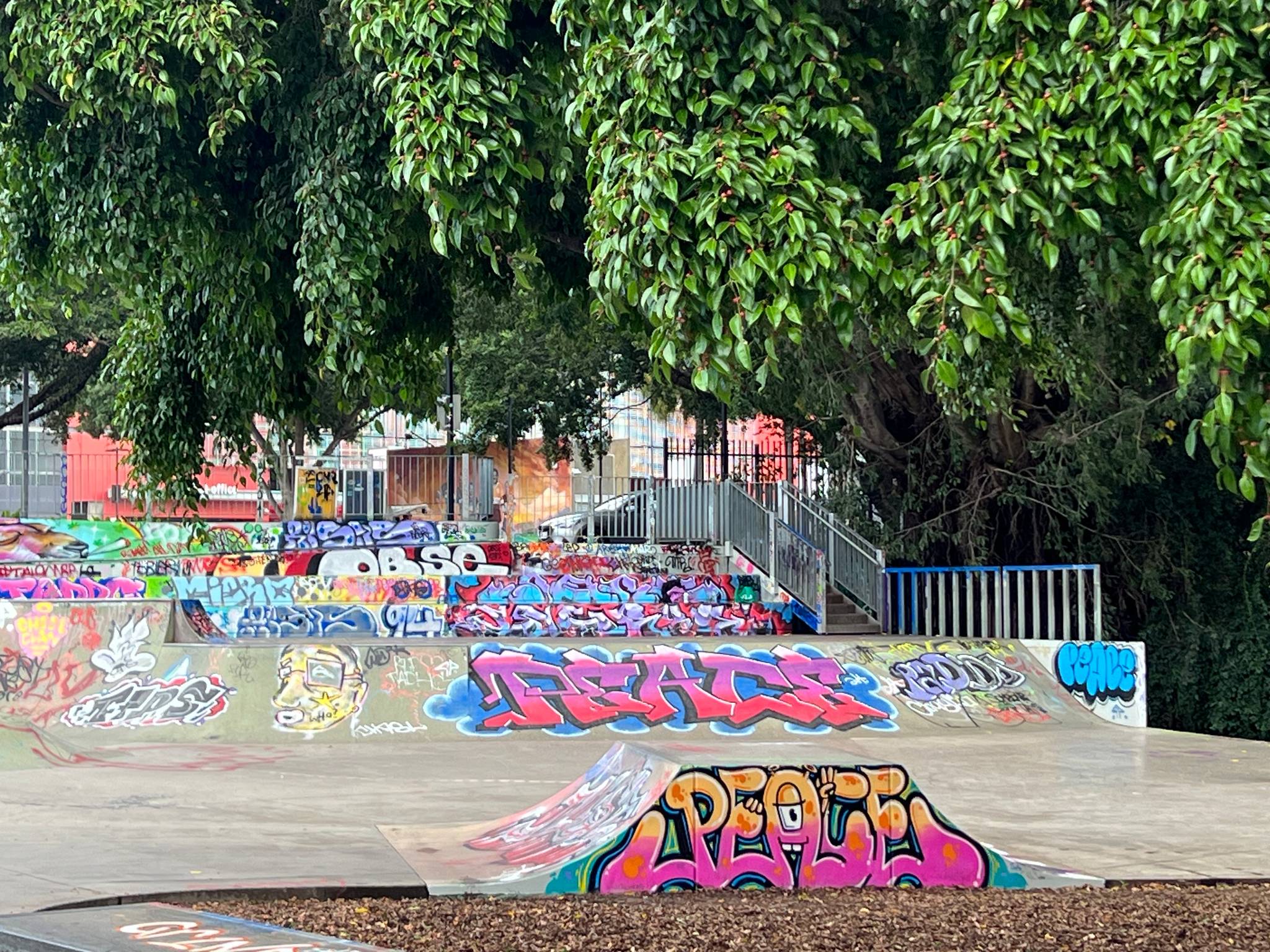 &mdash;Paddington Skate Park Legal Wall