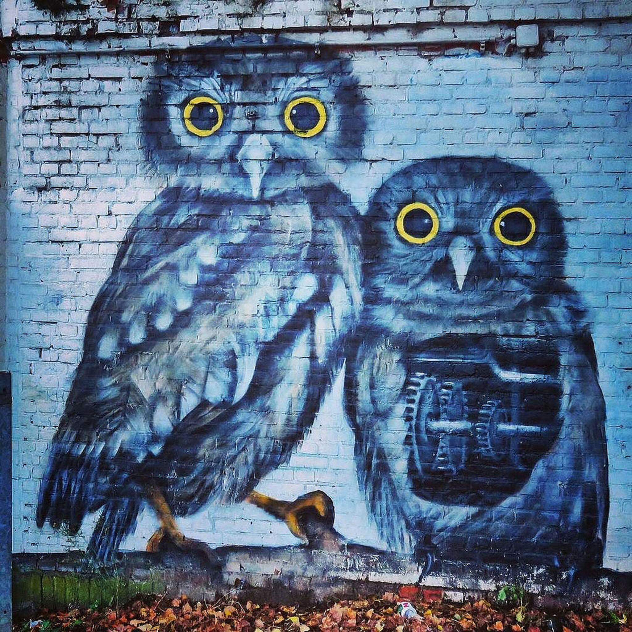 Cee Pil&mdash;Mechanical Owls