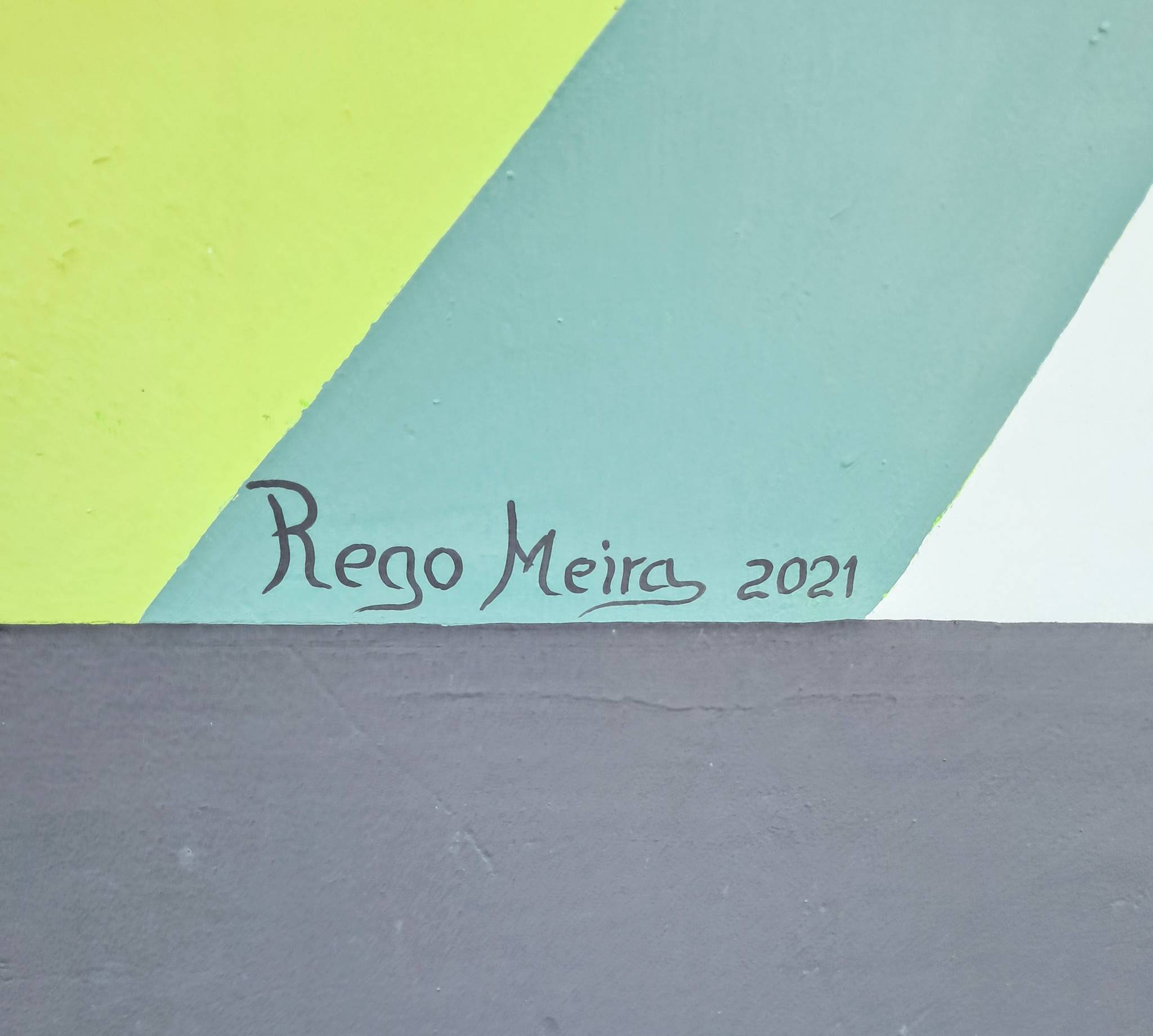 Vasco Rego Meira&mdash;Flowers