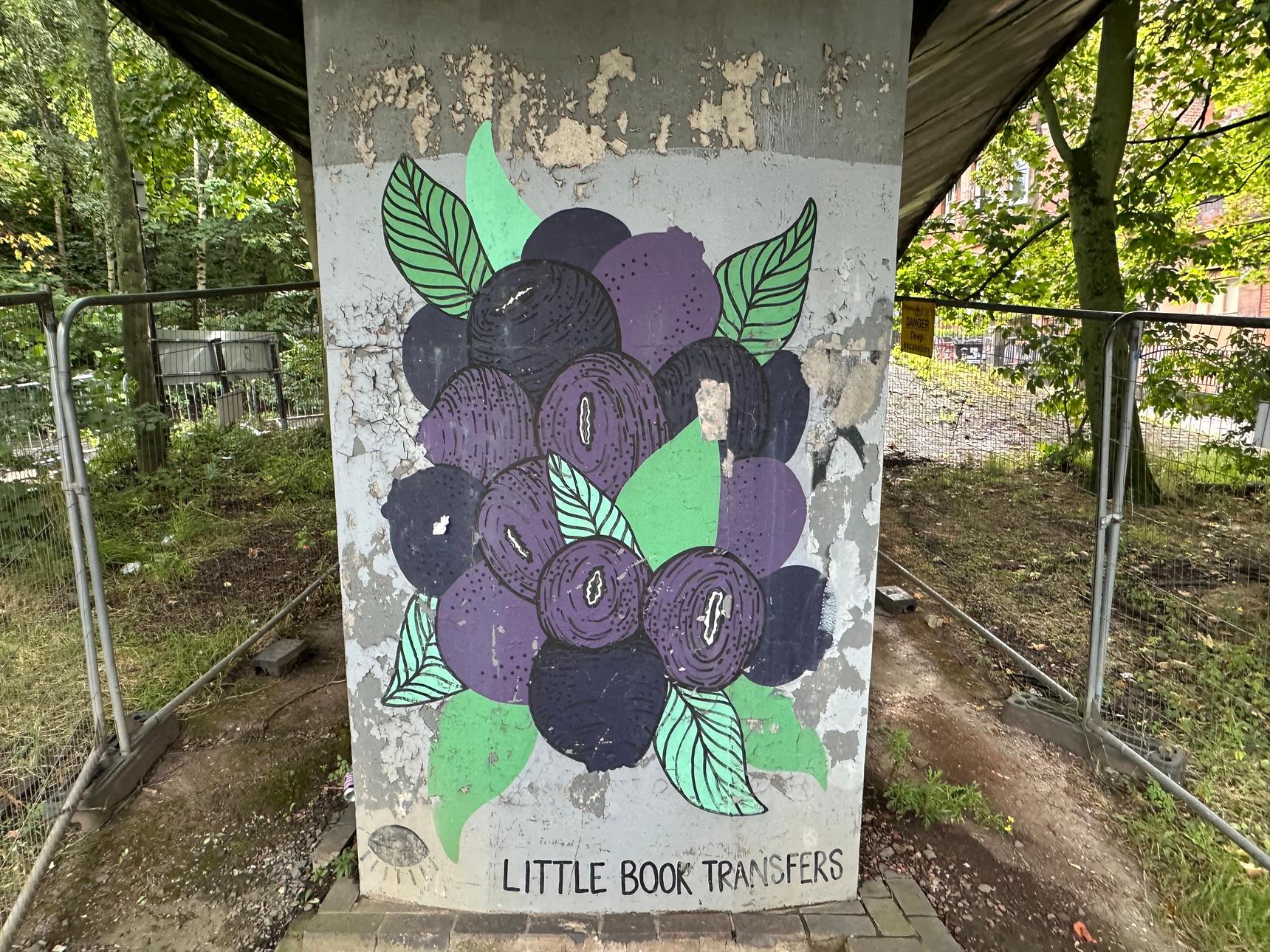 Little Book Transfers—undefined