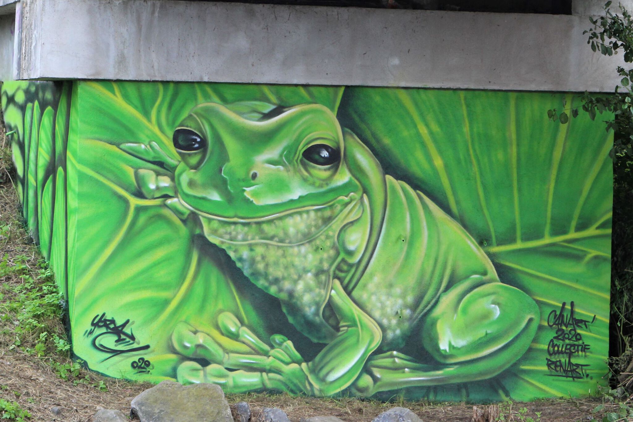 Iksté&mdash;Grenouille (Frog)