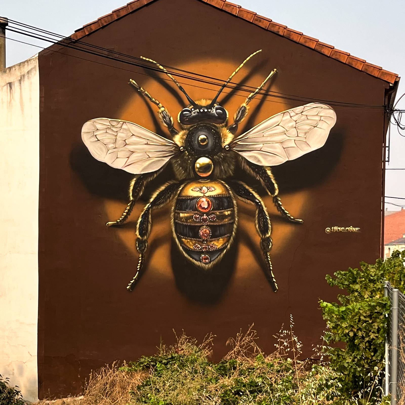 Häcko Crâne—Queen Bee