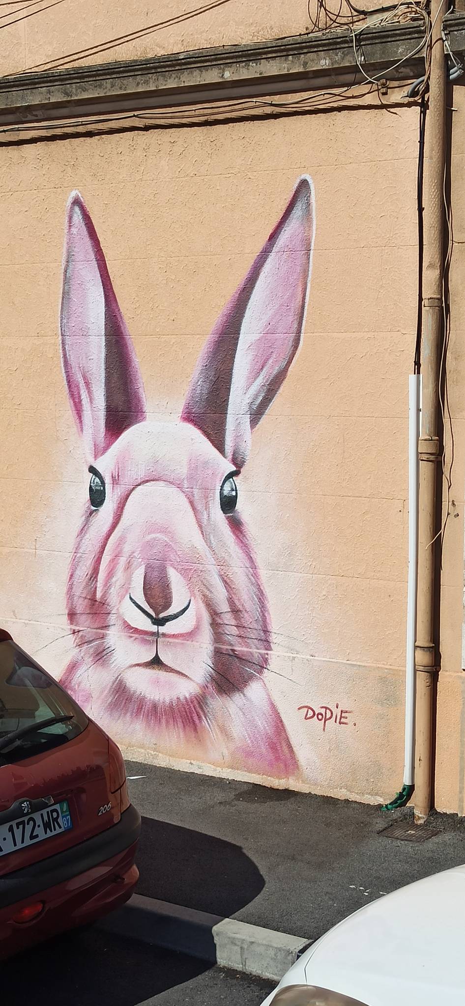 Dopie.dsk, Dopie.dsk&mdash;Lapin rose