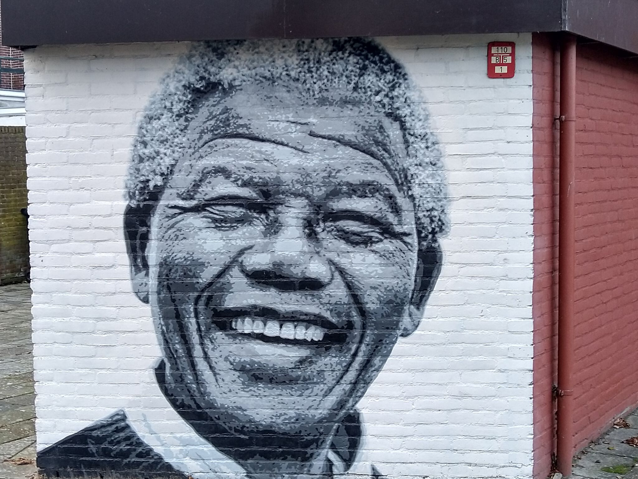 Roy Schreuder&mdash;Nelson Mandela