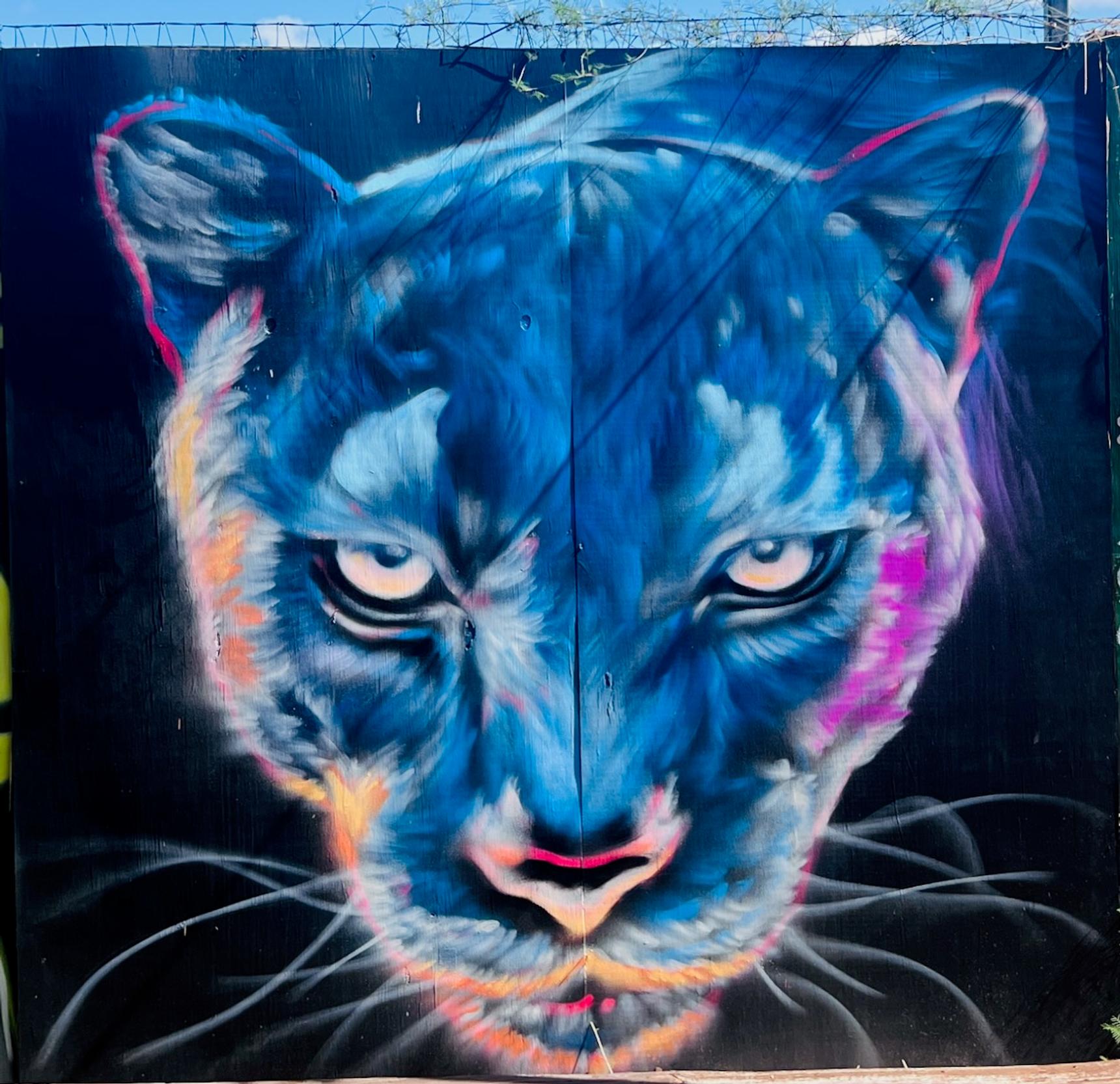 Unknown - Austin—undefined