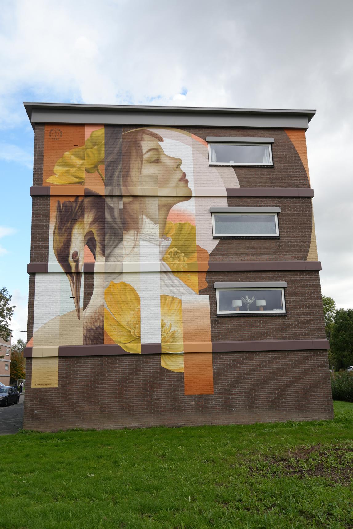 Ricardo van Zwol—Untitled