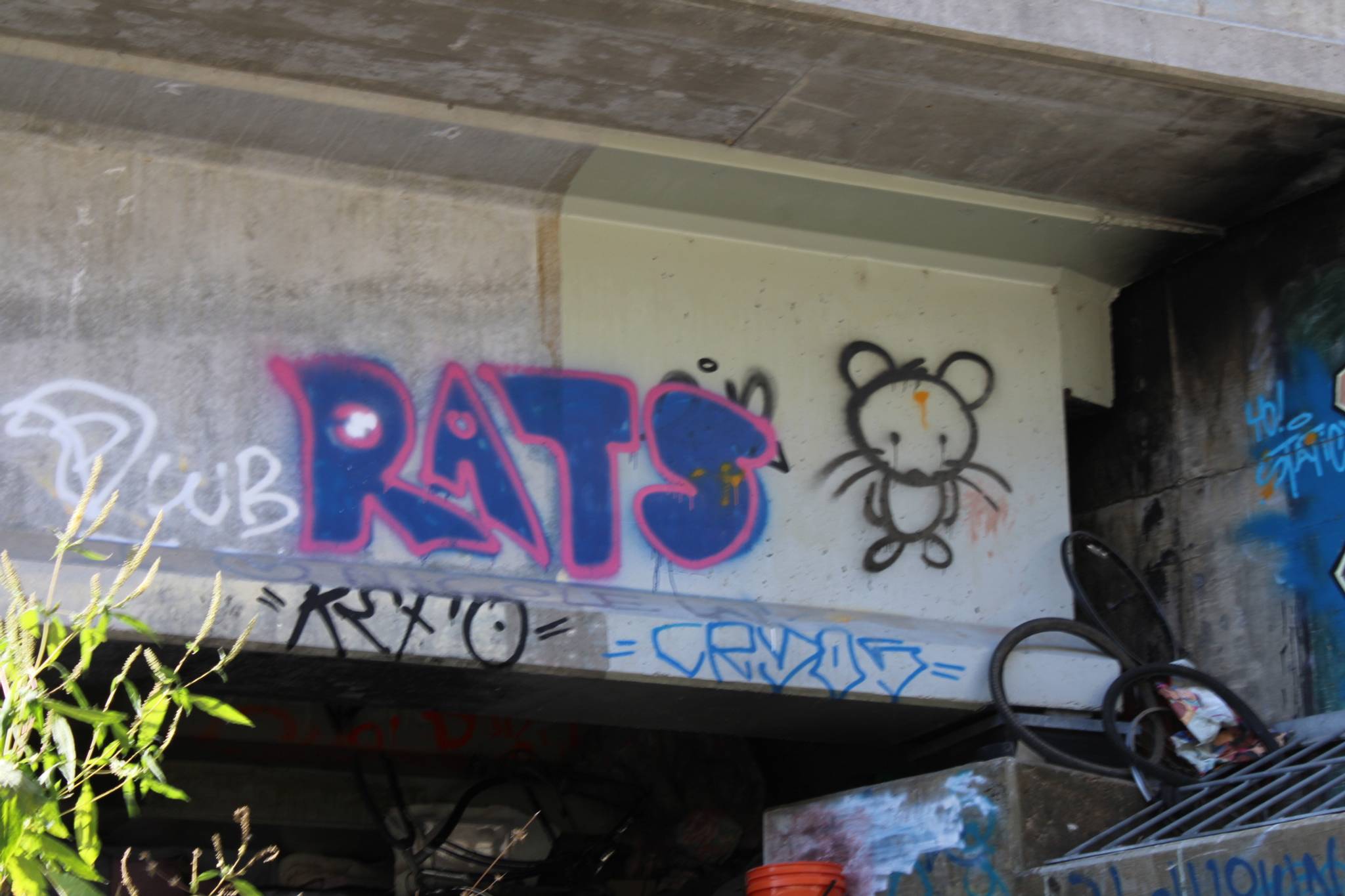 Zern, Dill, Antboy&mdash;Graffiti under MLK Jr. Parkway bridge over Racoon river 