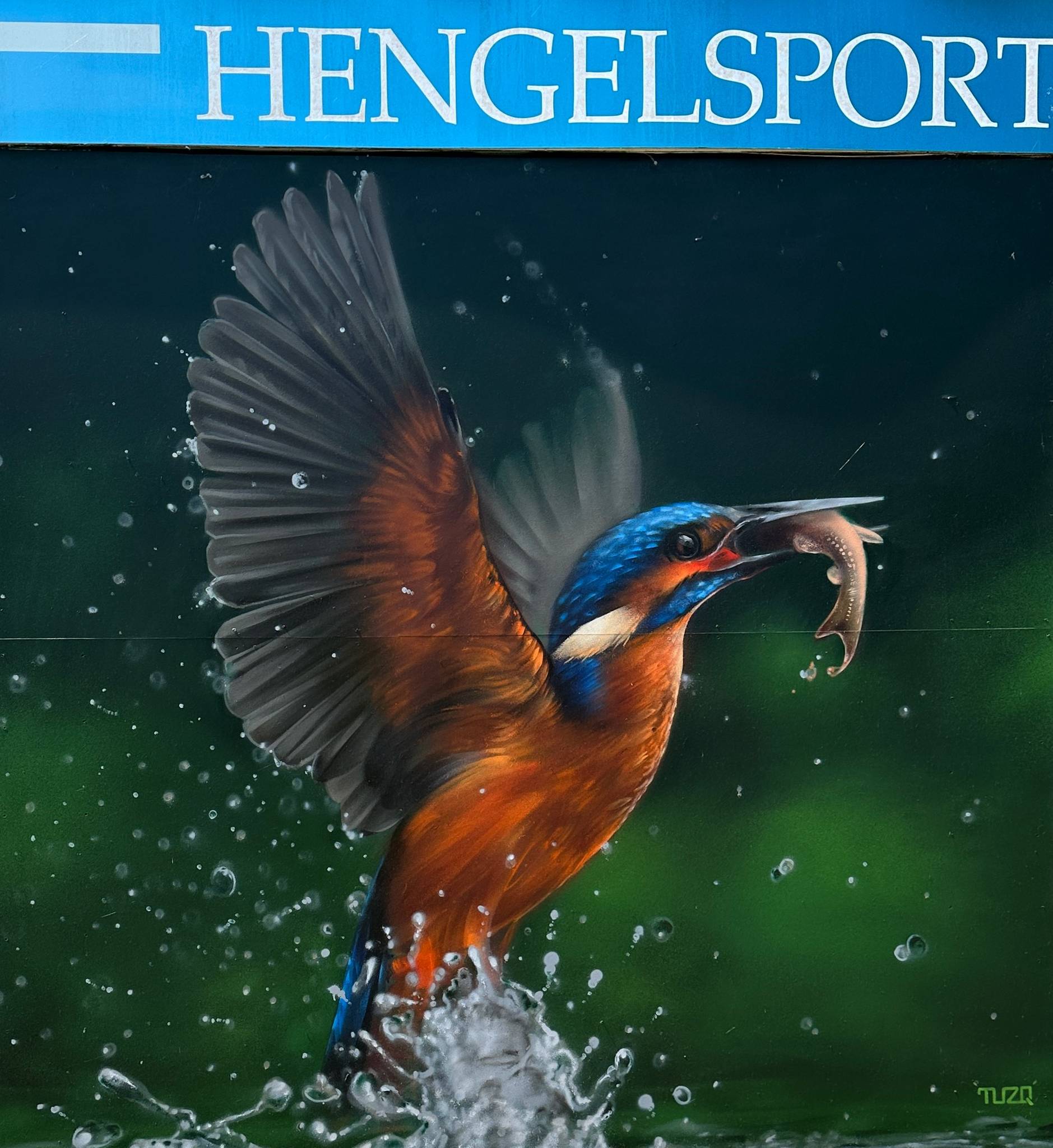 TUZQ&mdash;Catch #2 Kingfisher for Hengelsport De Kock
