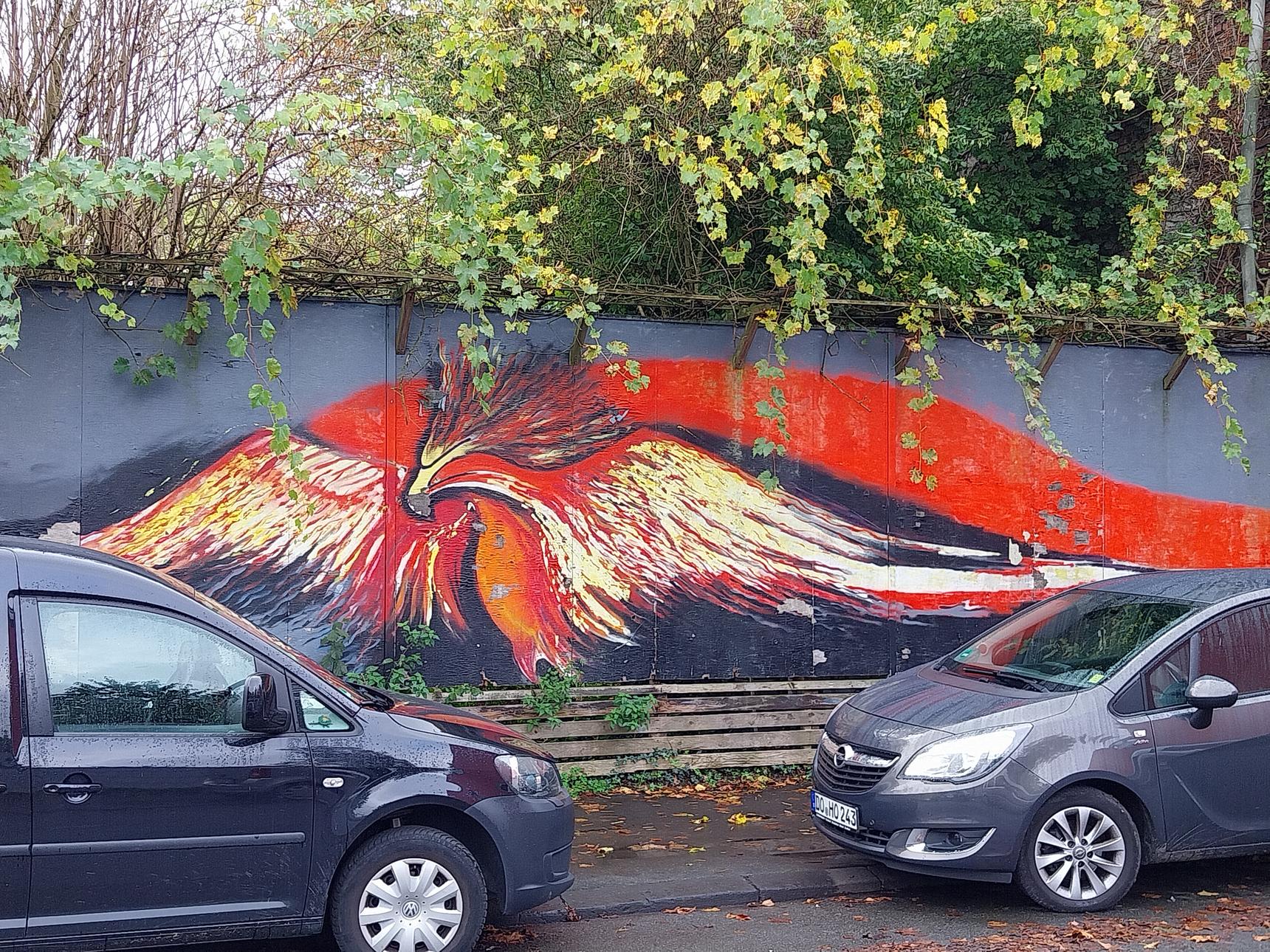 Karla Christoph—Phoenix