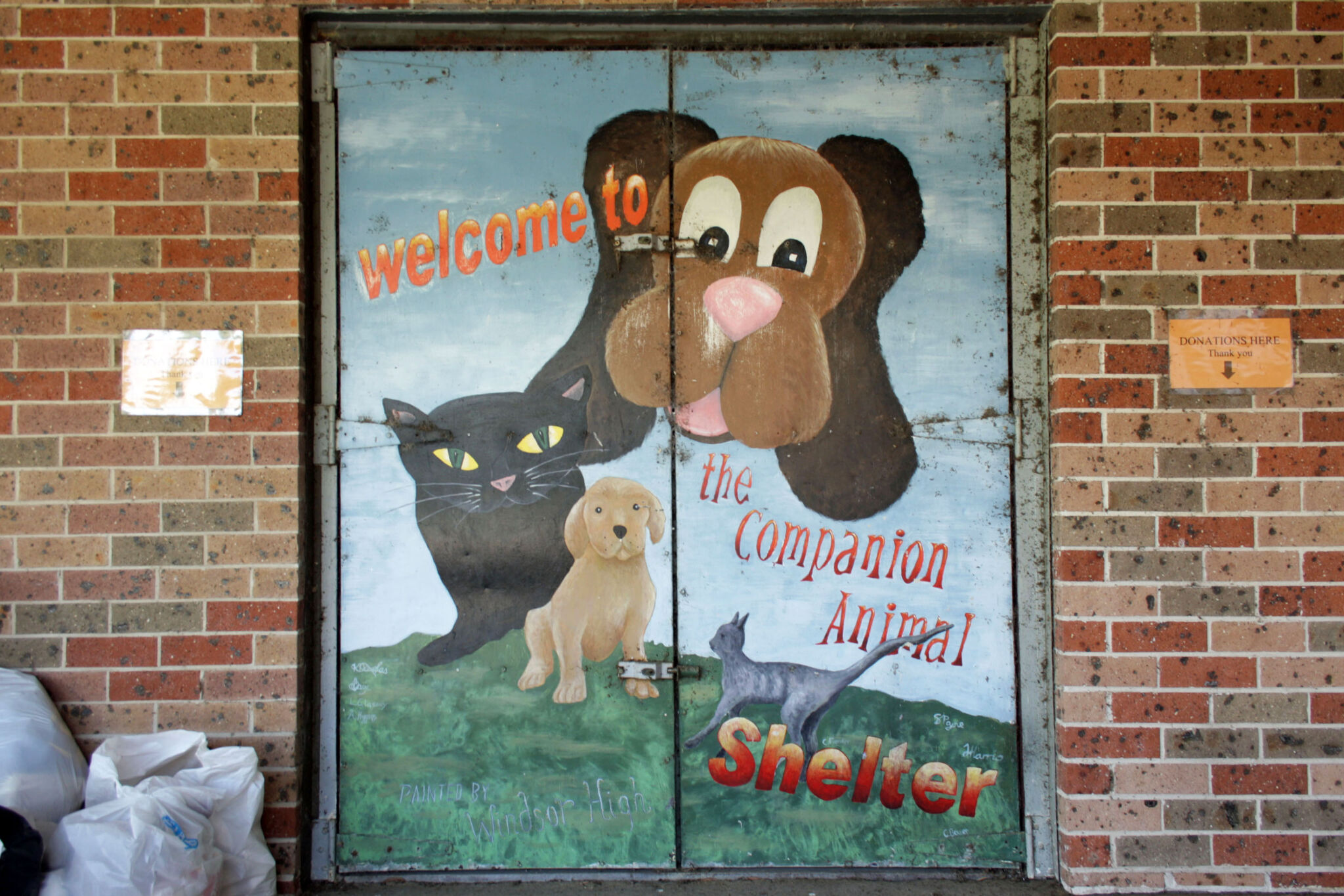 Windsor High School&mdash;Welcome to the Companion Animal Shelter