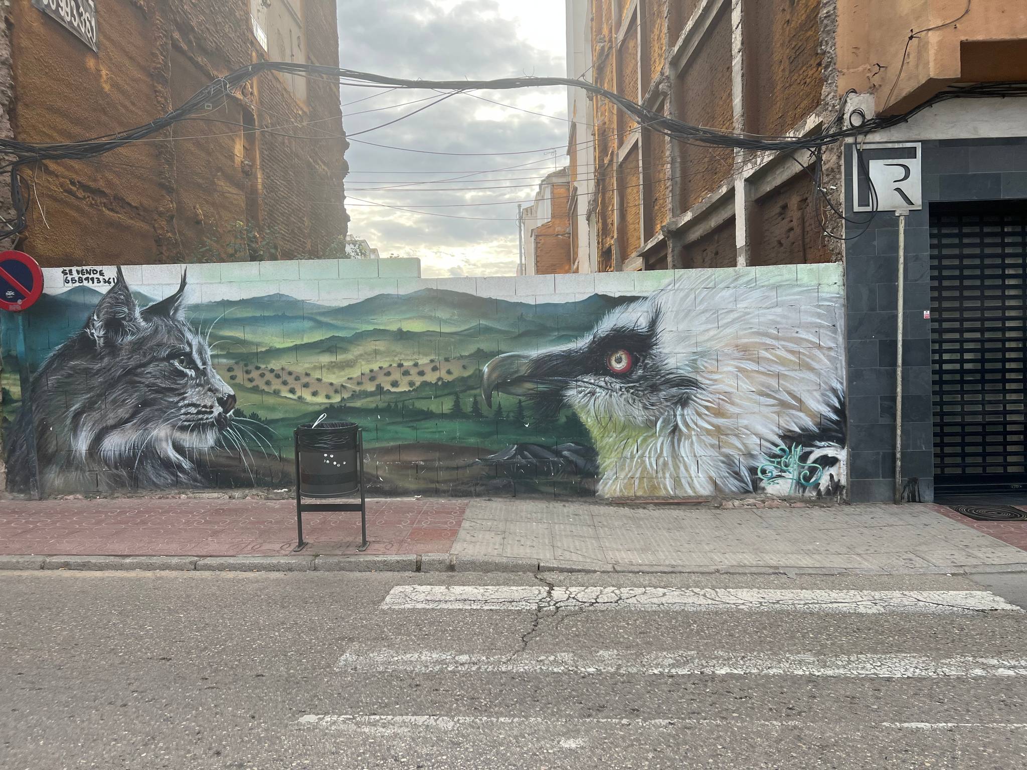 Icat&mdash;Lince y Quebrantahuesos