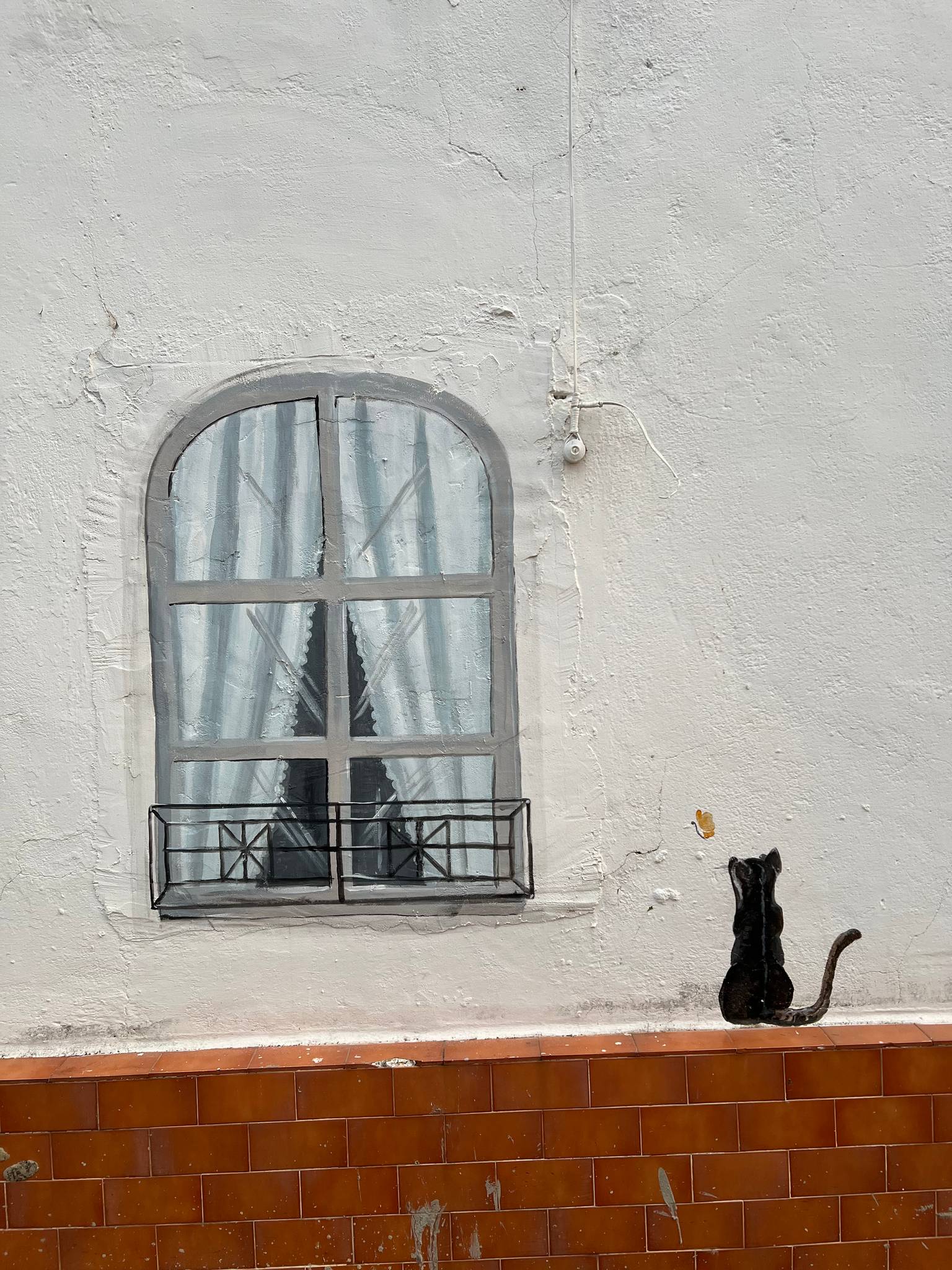 Manuela Perta M.&mdash;El gato de la ventana
