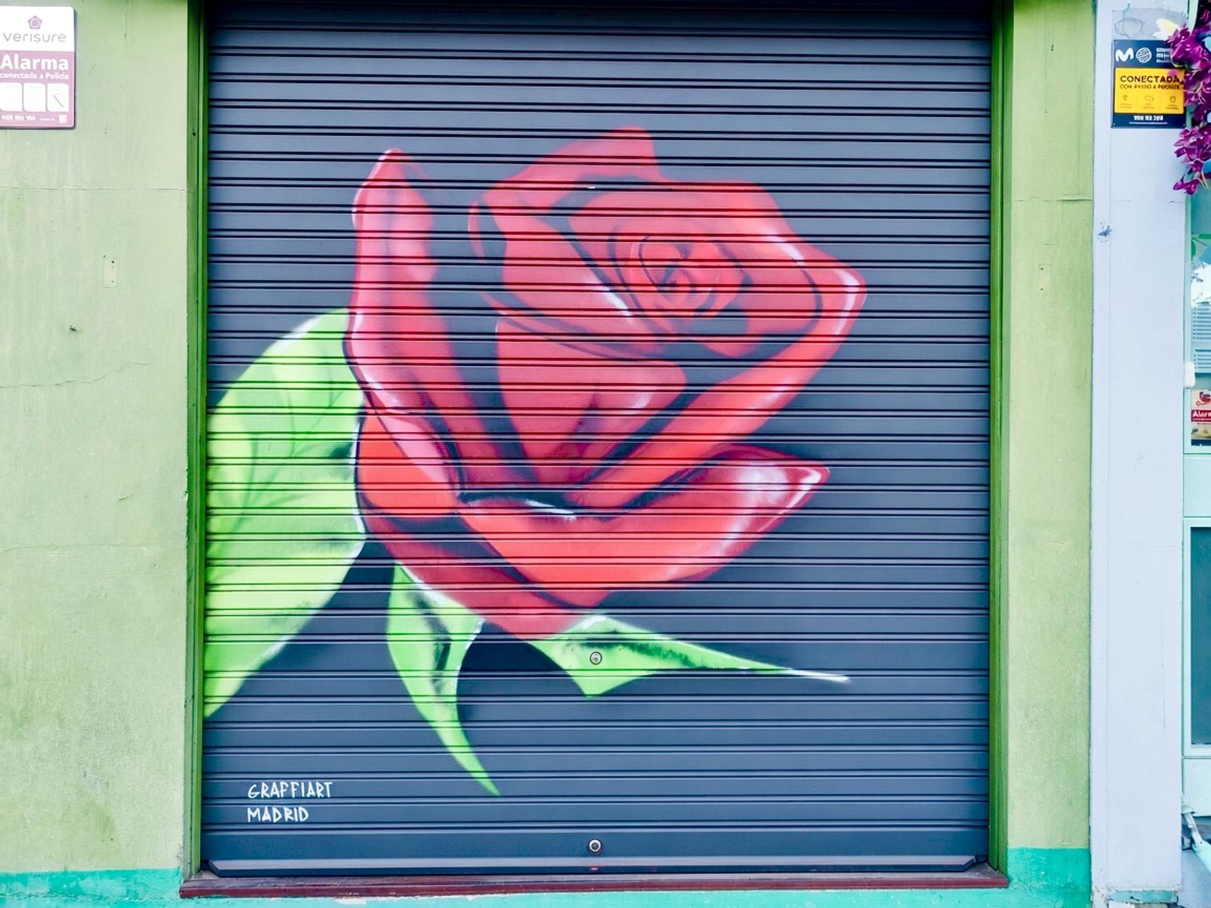 Graffiart—ROSITA